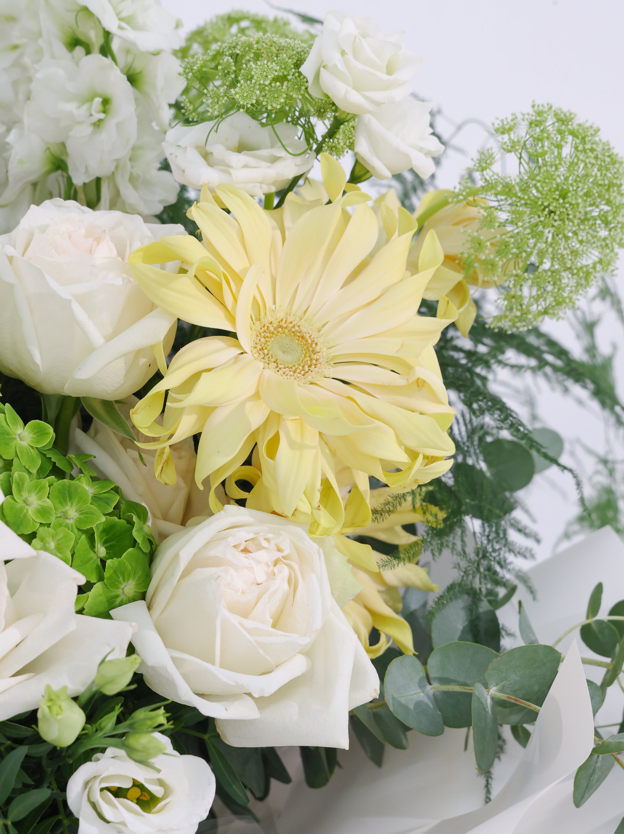 summer - Revery flowers