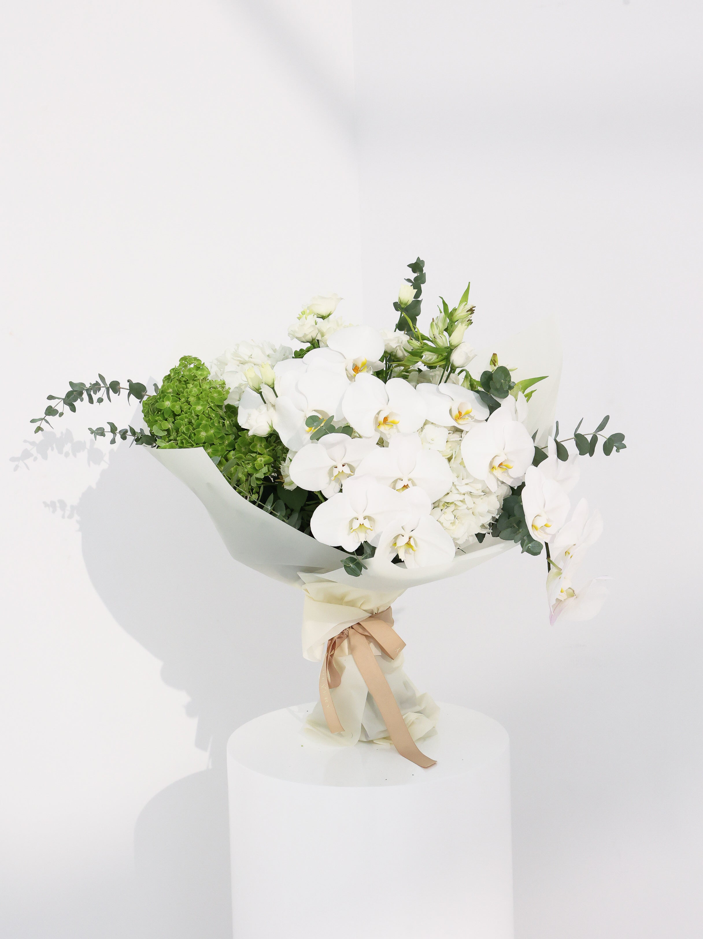 Cloud - Revery flowers