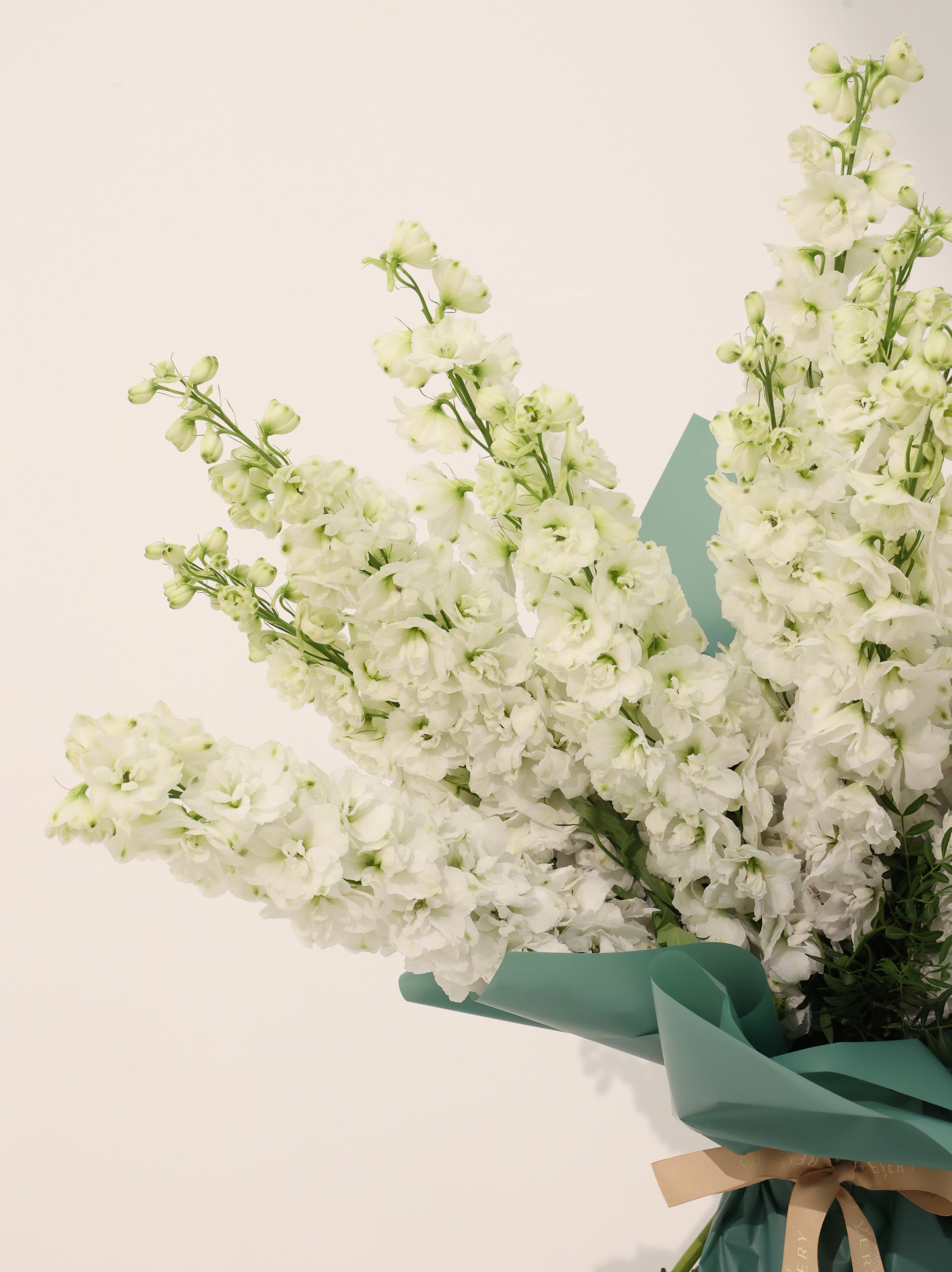Wight Delphinium - Revery flowers