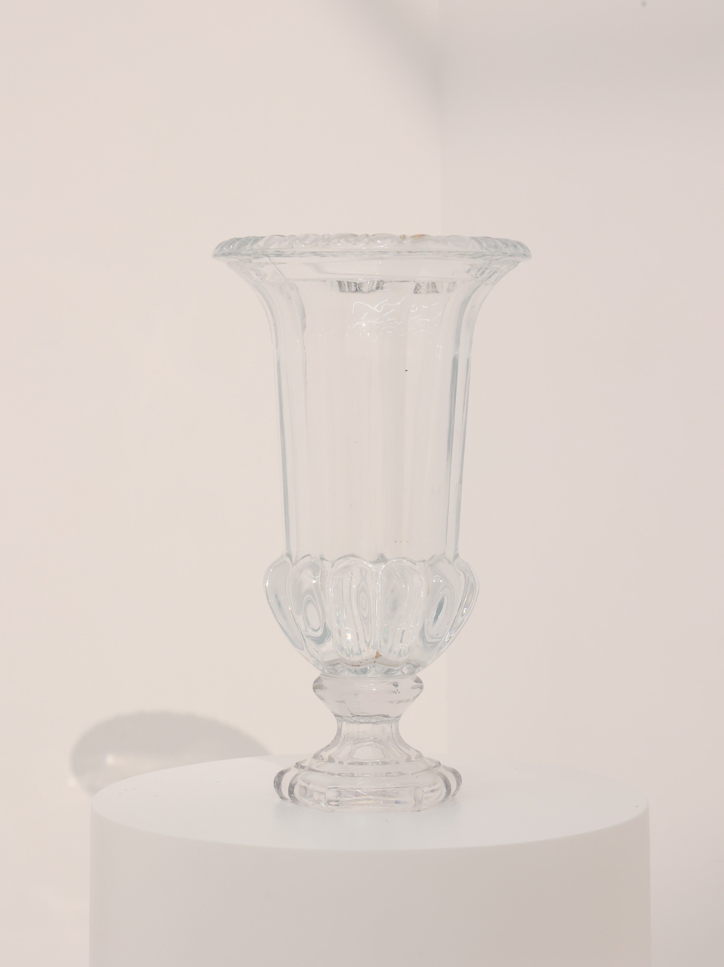 Glass Vase - Revery flowers