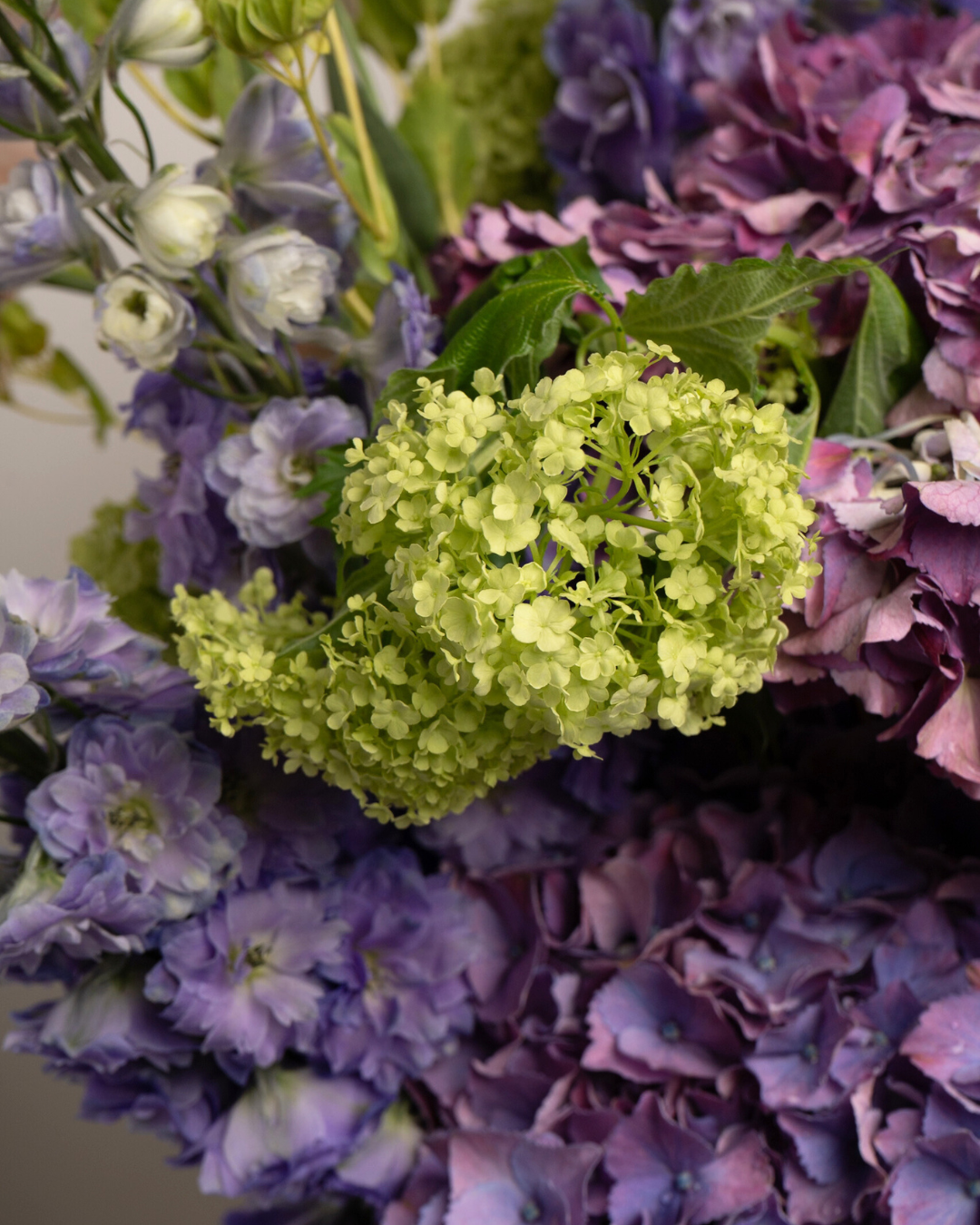 Velvet Forest - Revery flowers