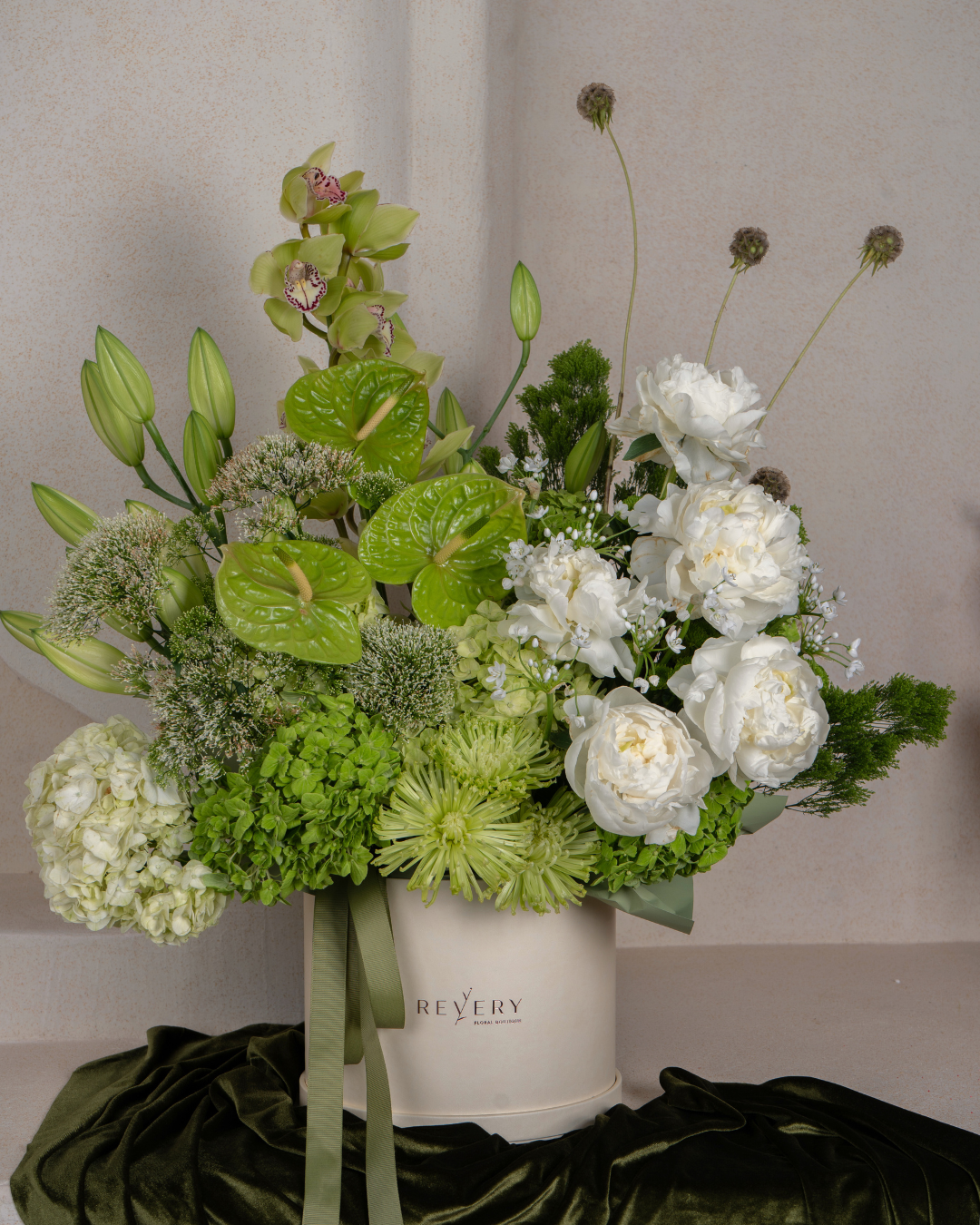 Pistachio Cloud - Revery flowers