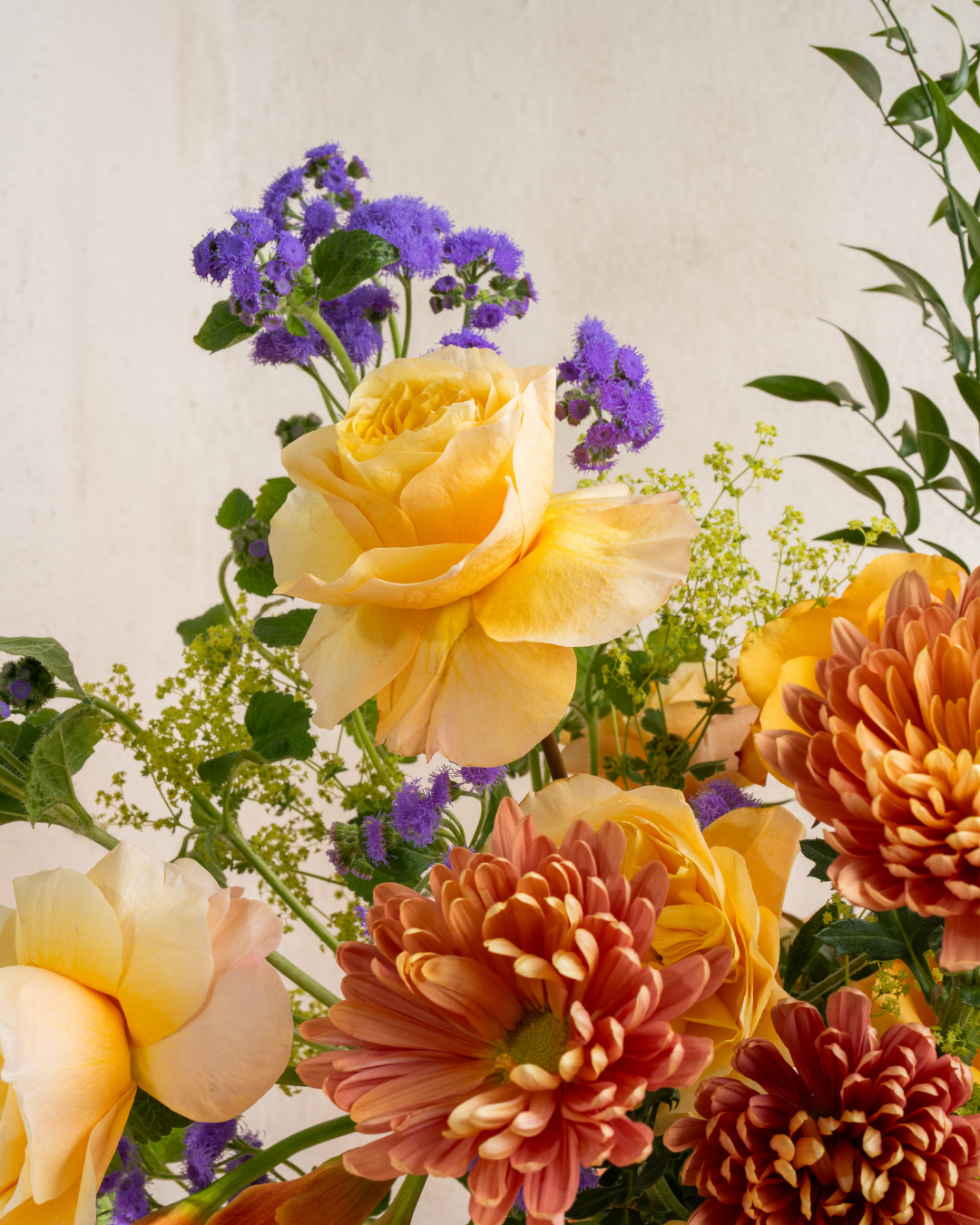 Apricot Glaze - Revery flowers
