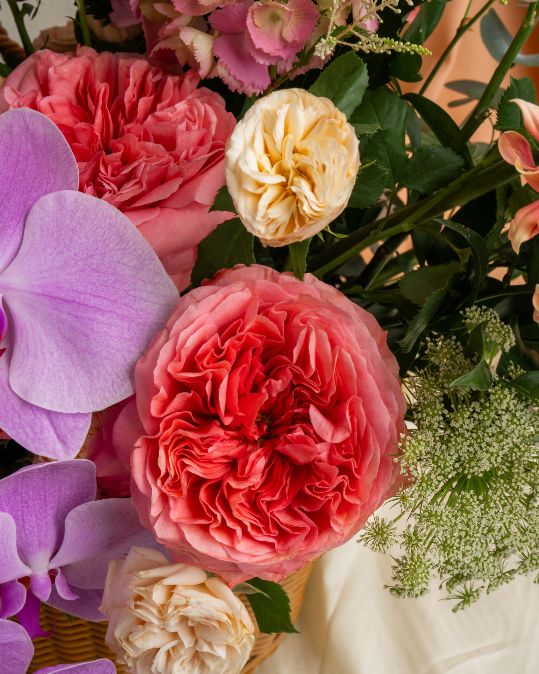 Berry Lime Fizz - Revery flowers