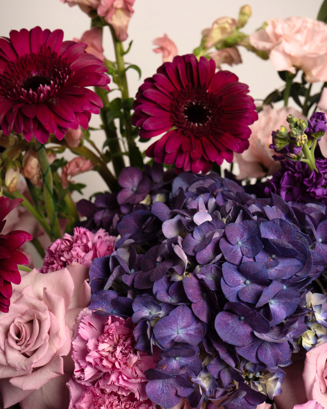 Royal Merlot - Revery flowers