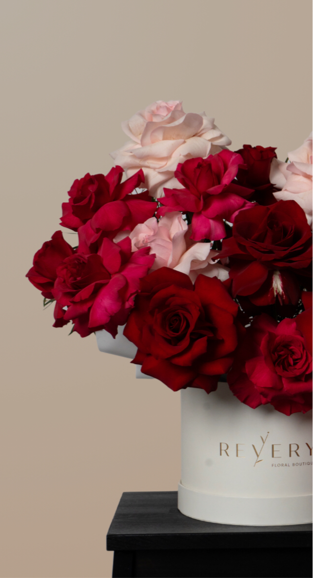 Velvet dreams - Revery flowers