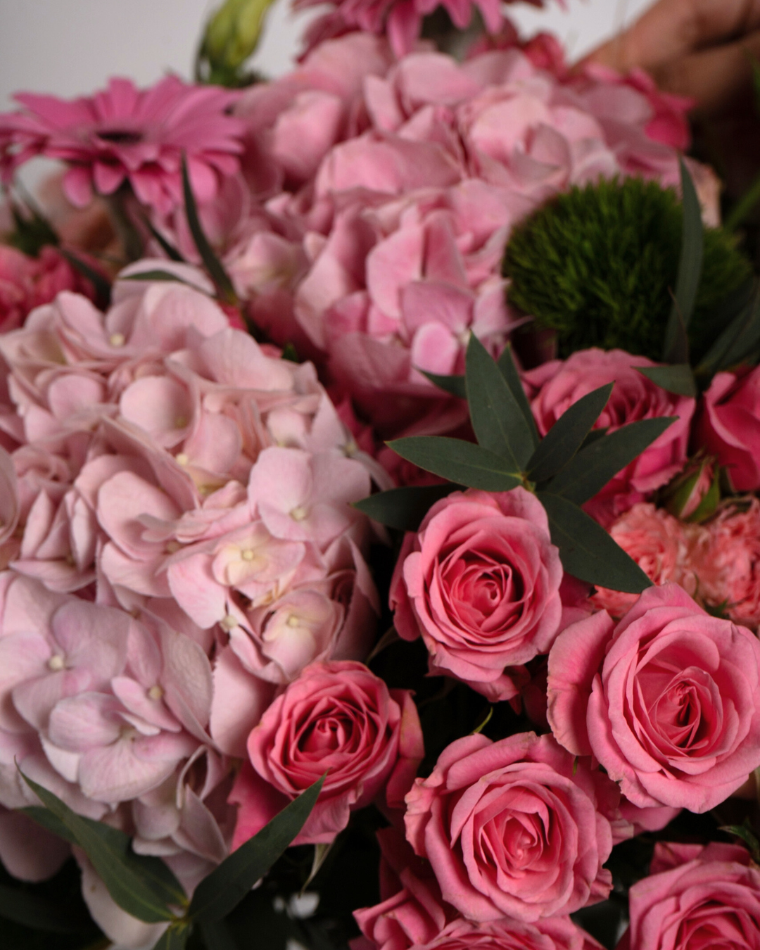 Serenade - Revery flowers