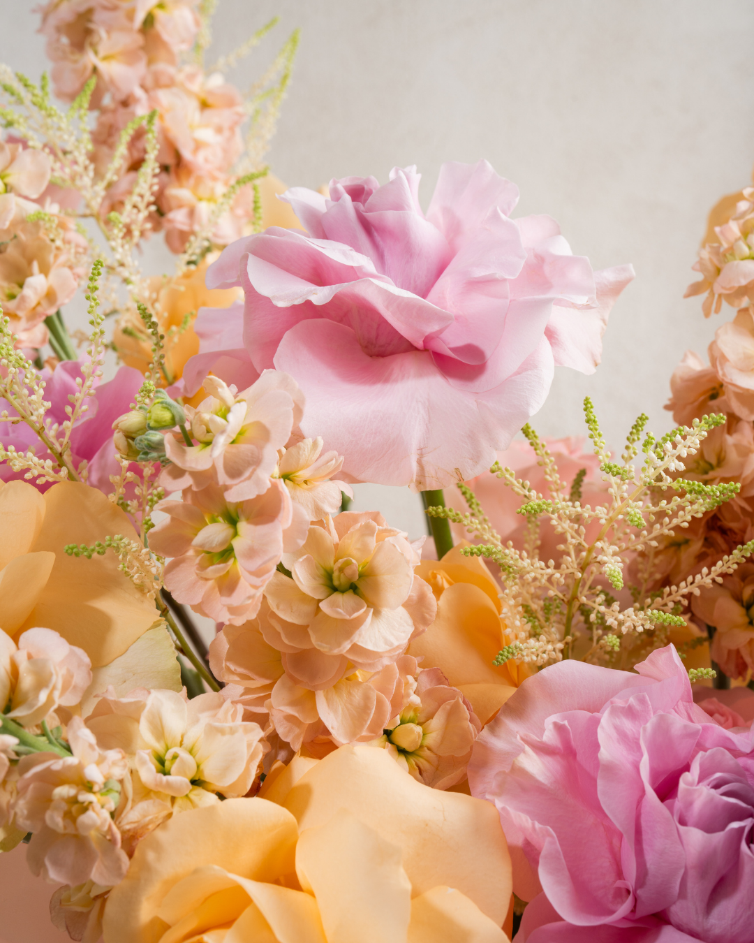 Lemonberry Bloom - Revery flowers