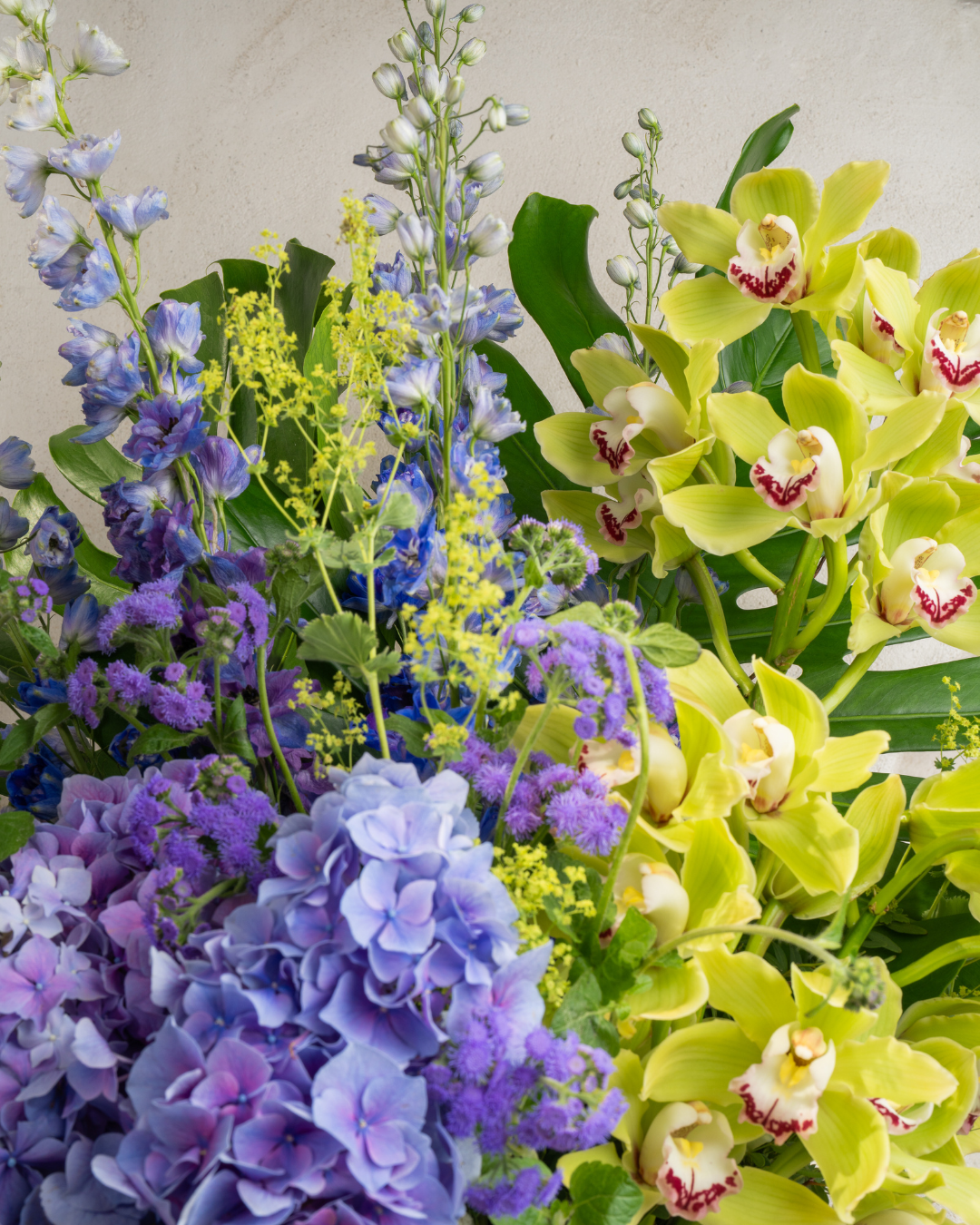 Verdant Violet - Revery flowers