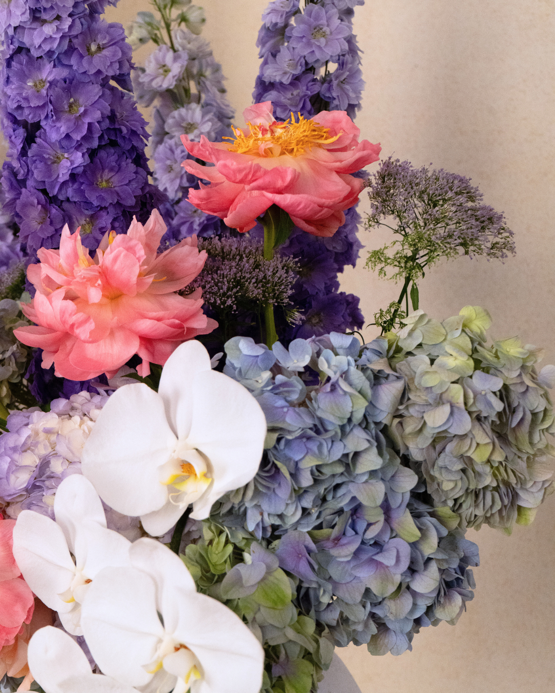 Fairy Floss - Revery flowers