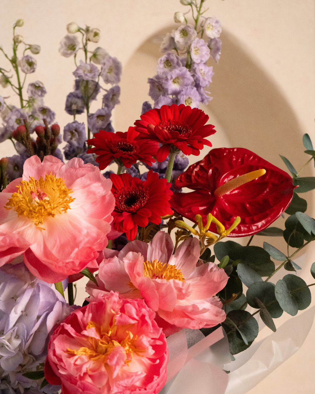 Blueberry Fizz - Revery flowers
