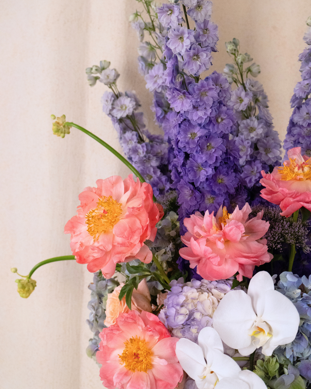 Fairy Floss - Revery flowers
