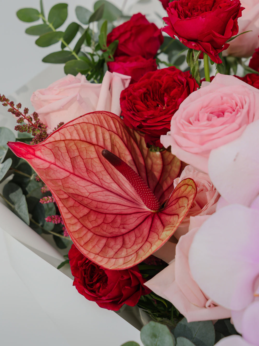 Blooming Red - Revery flowers