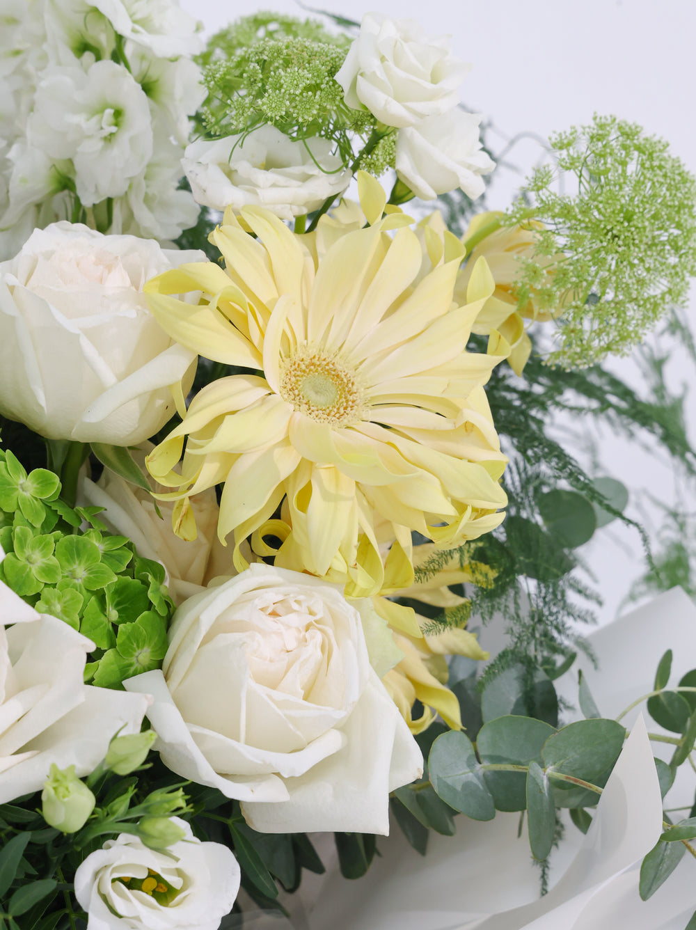 summer - Revery flowers
