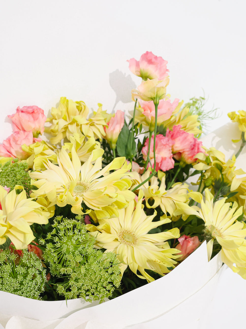 Sun shine - Revery flowers