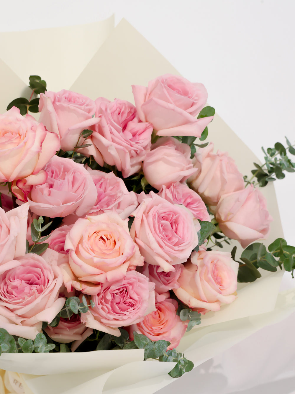 Rosey - Revery flowers
