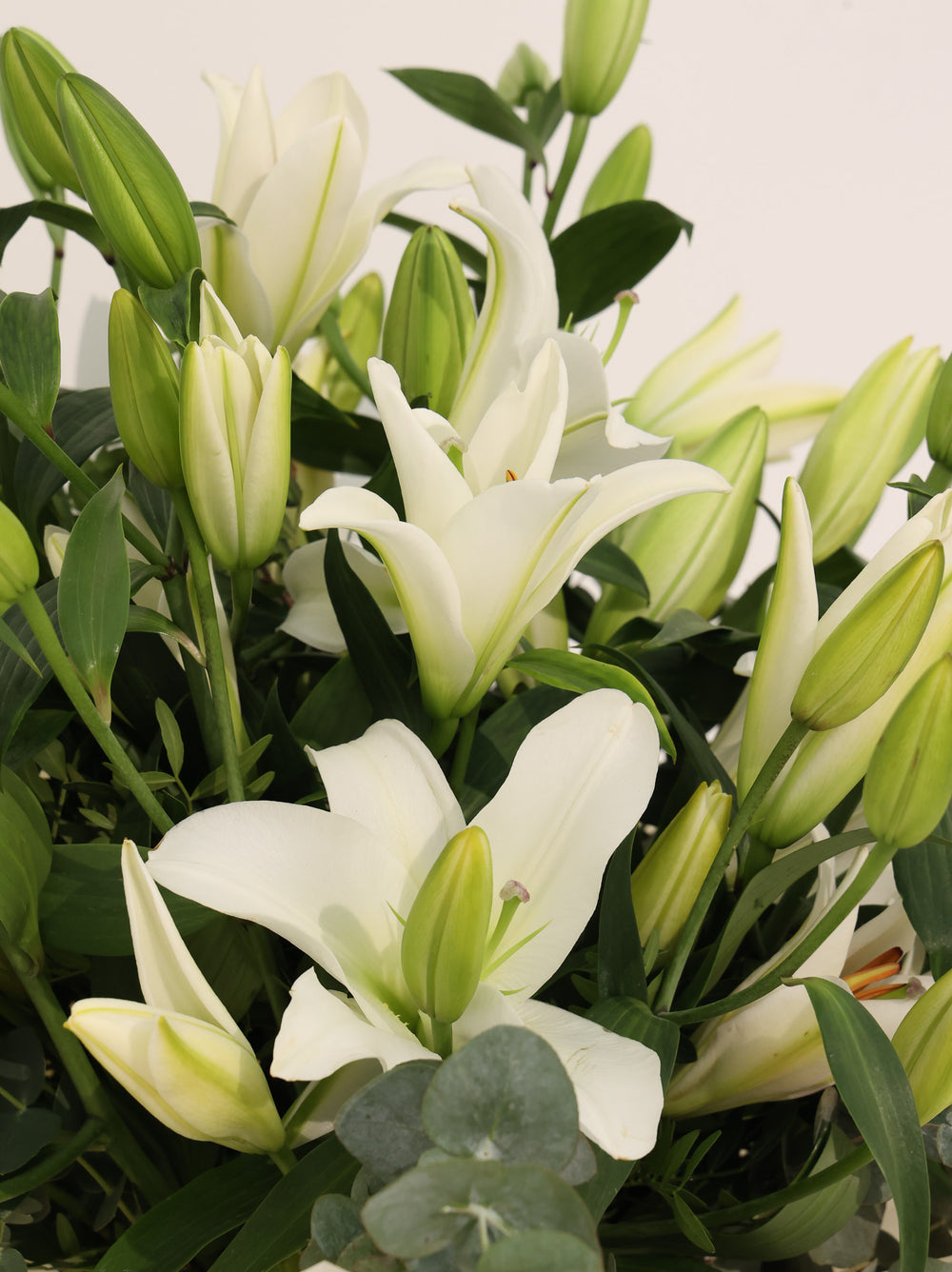 Lily of the valley - Revery flowers