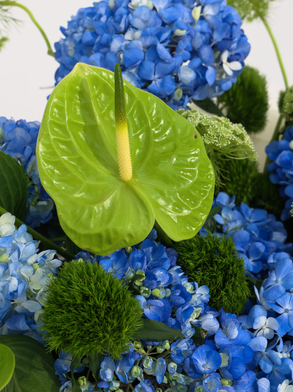 Blue Motion - Revery flowers