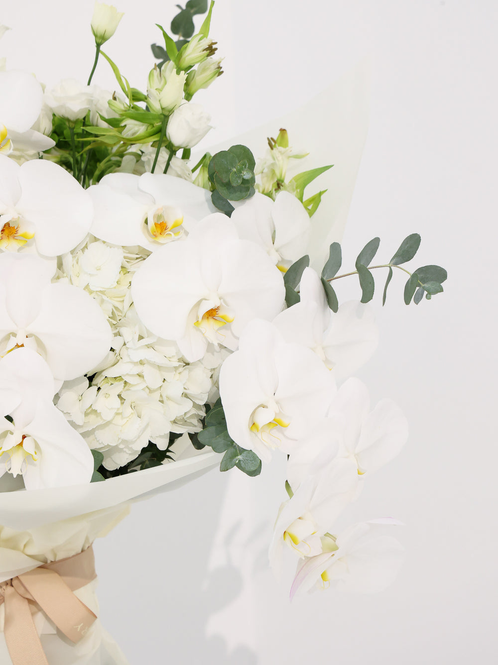 Cloud - Revery flowers