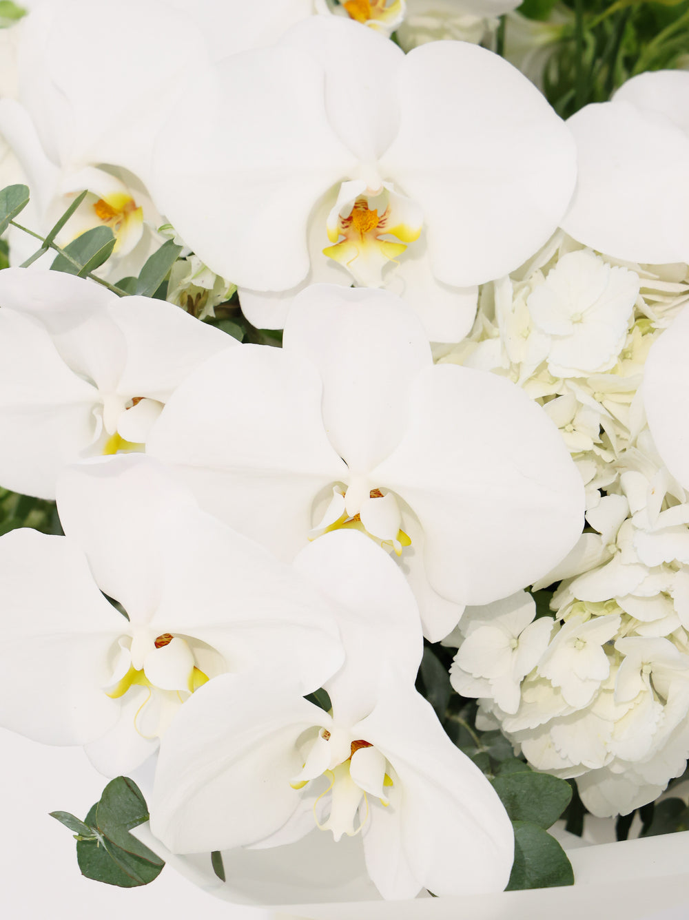Cloud - Revery flowers
