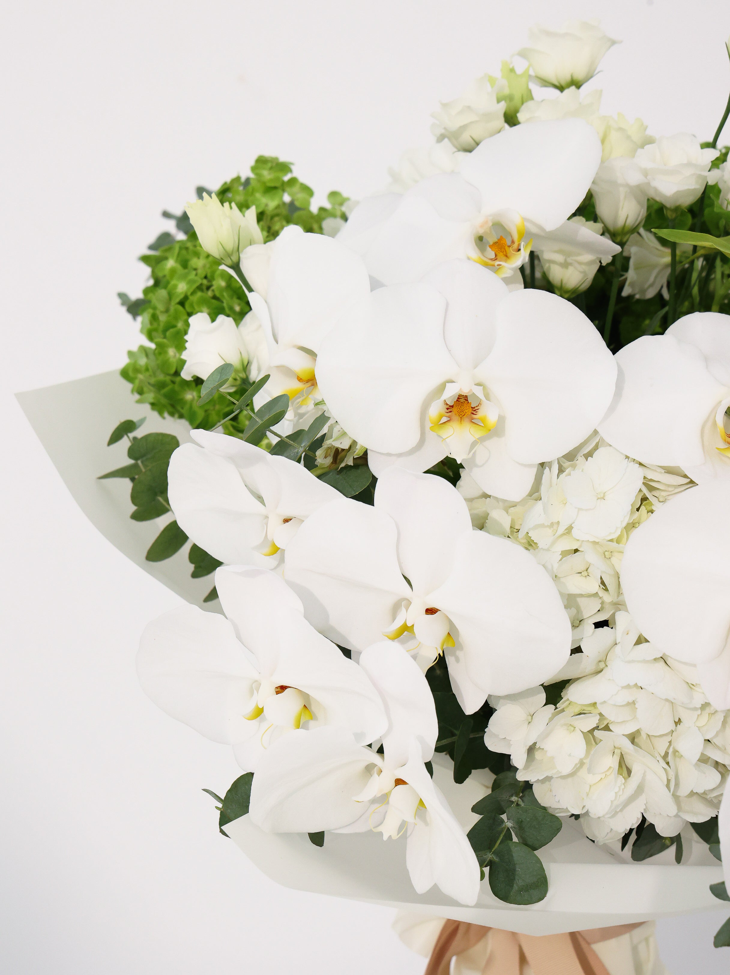 Cloud - Revery flowers
