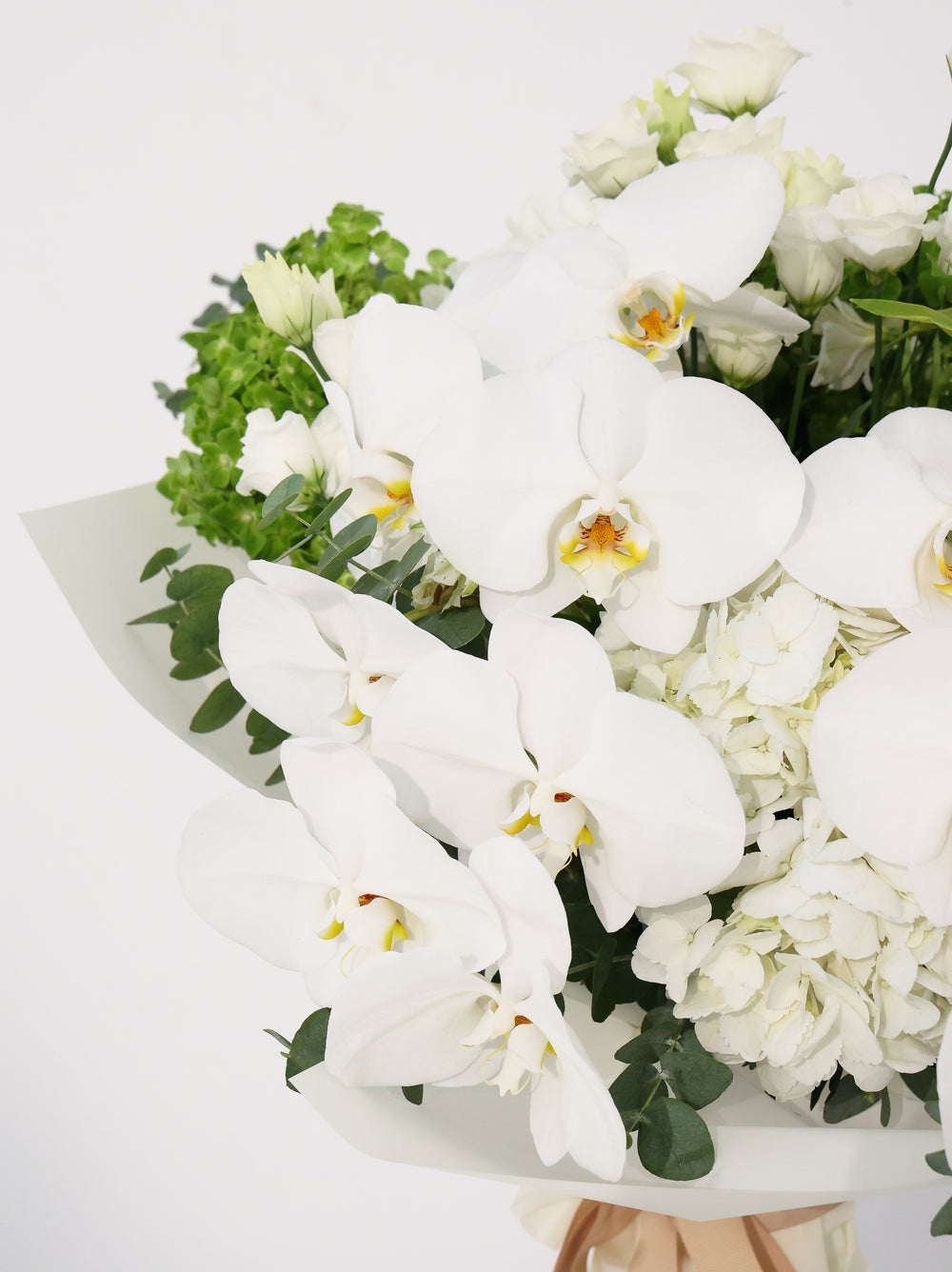 Cloud - Revery flowers