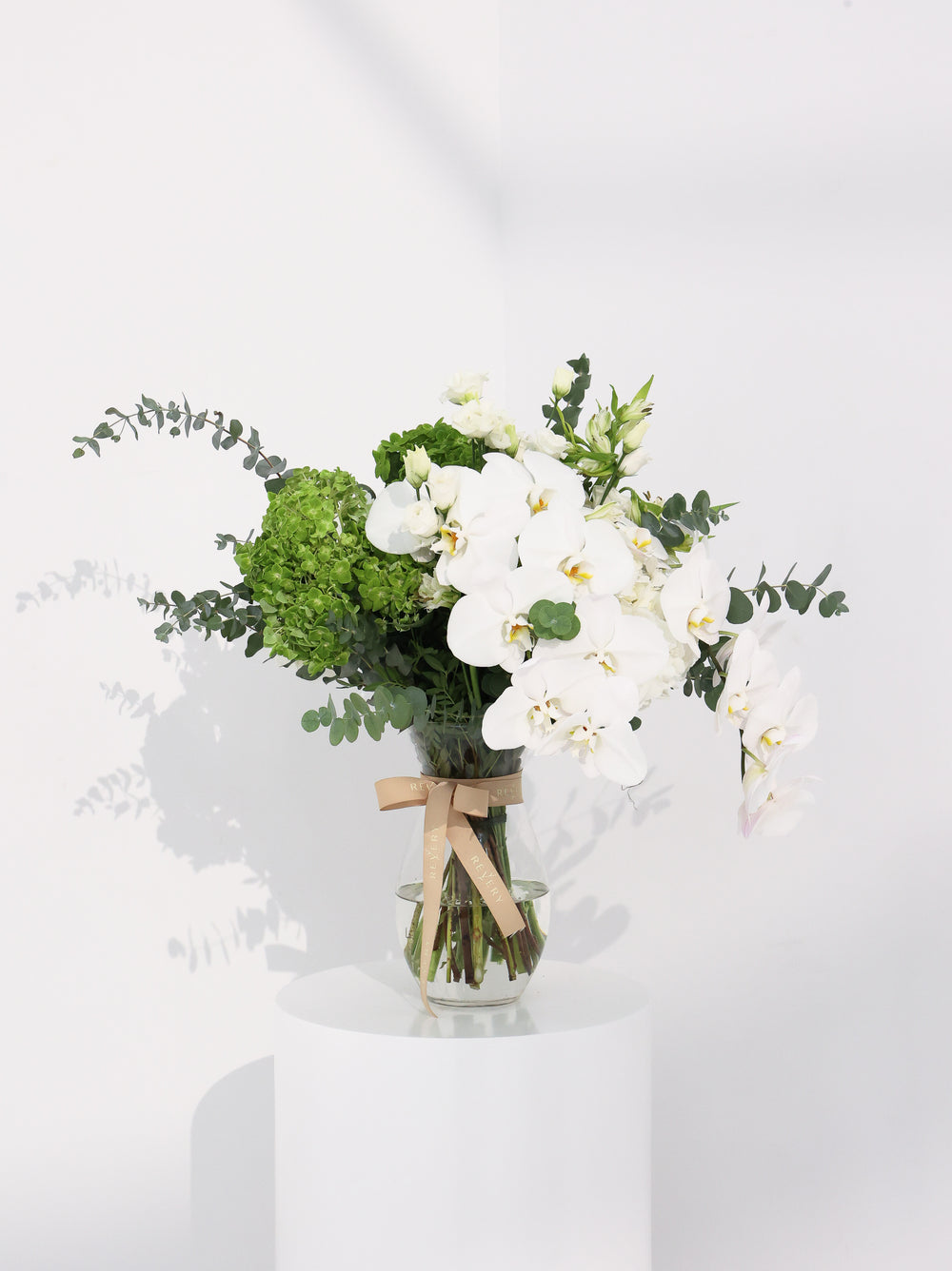 Cloud - Revery flowers