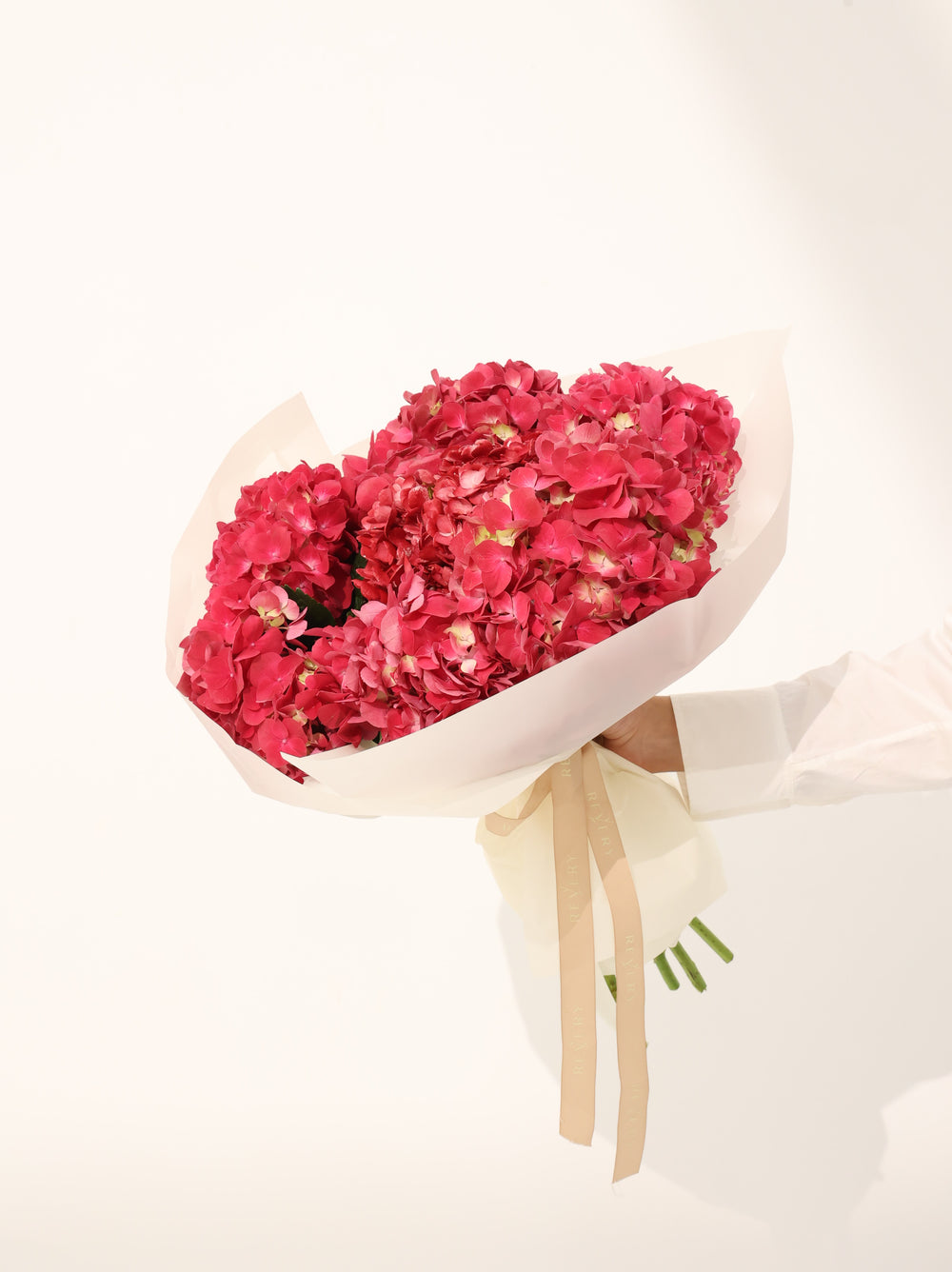 Red Hydrangea - Revery flowers