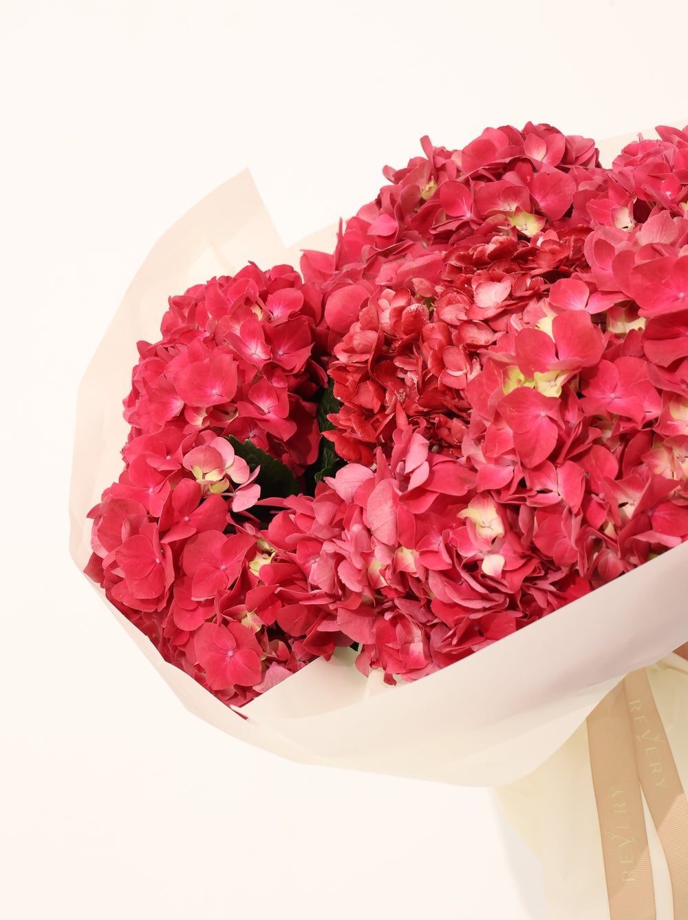 Red Hydrangea - Revery flowers