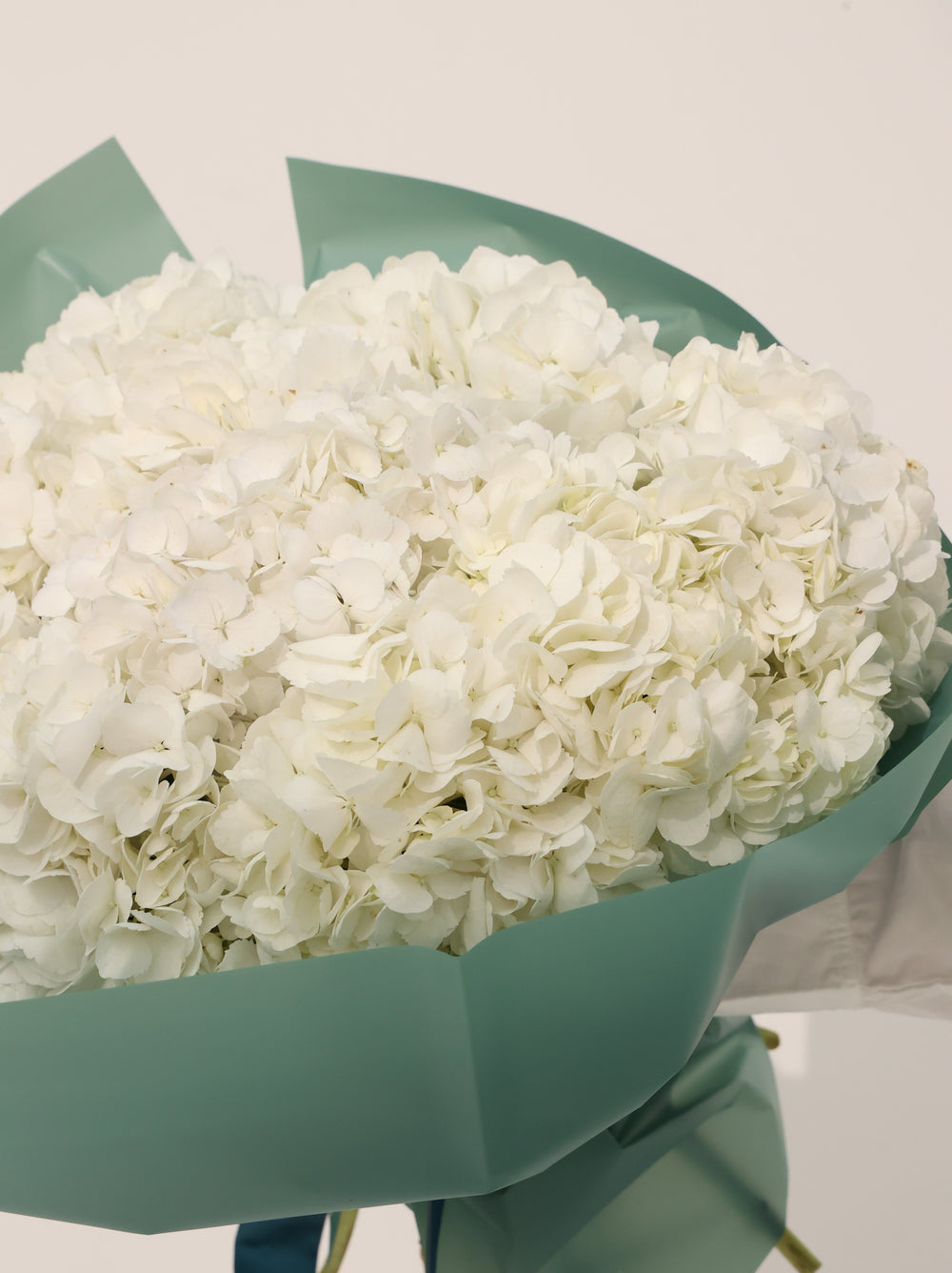 Wight Hydrangea - Revery flowers