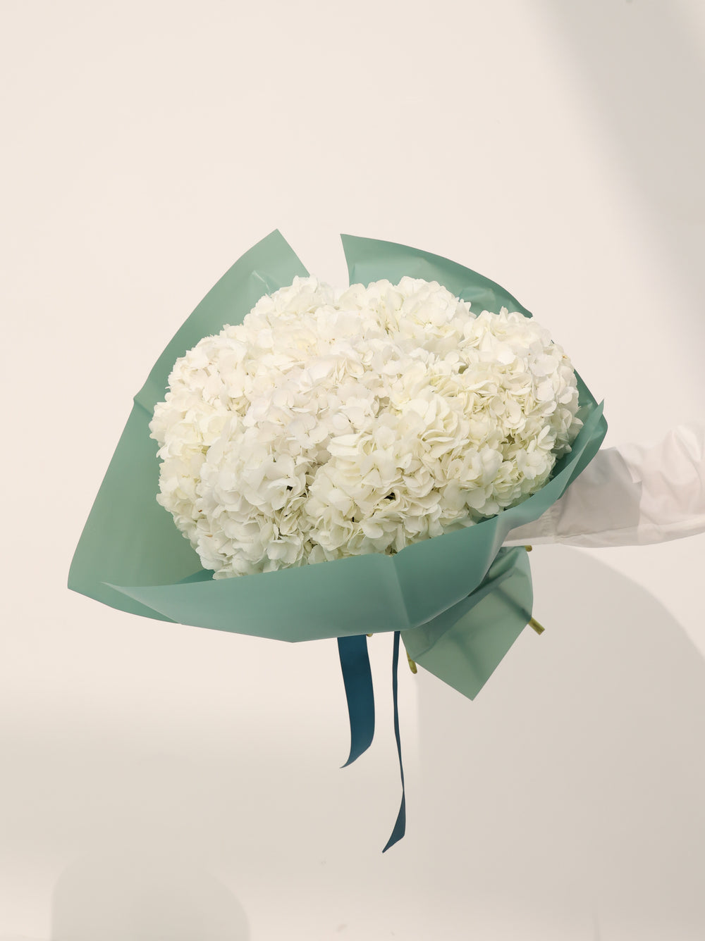 Wight Hydrangea - Revery flowers