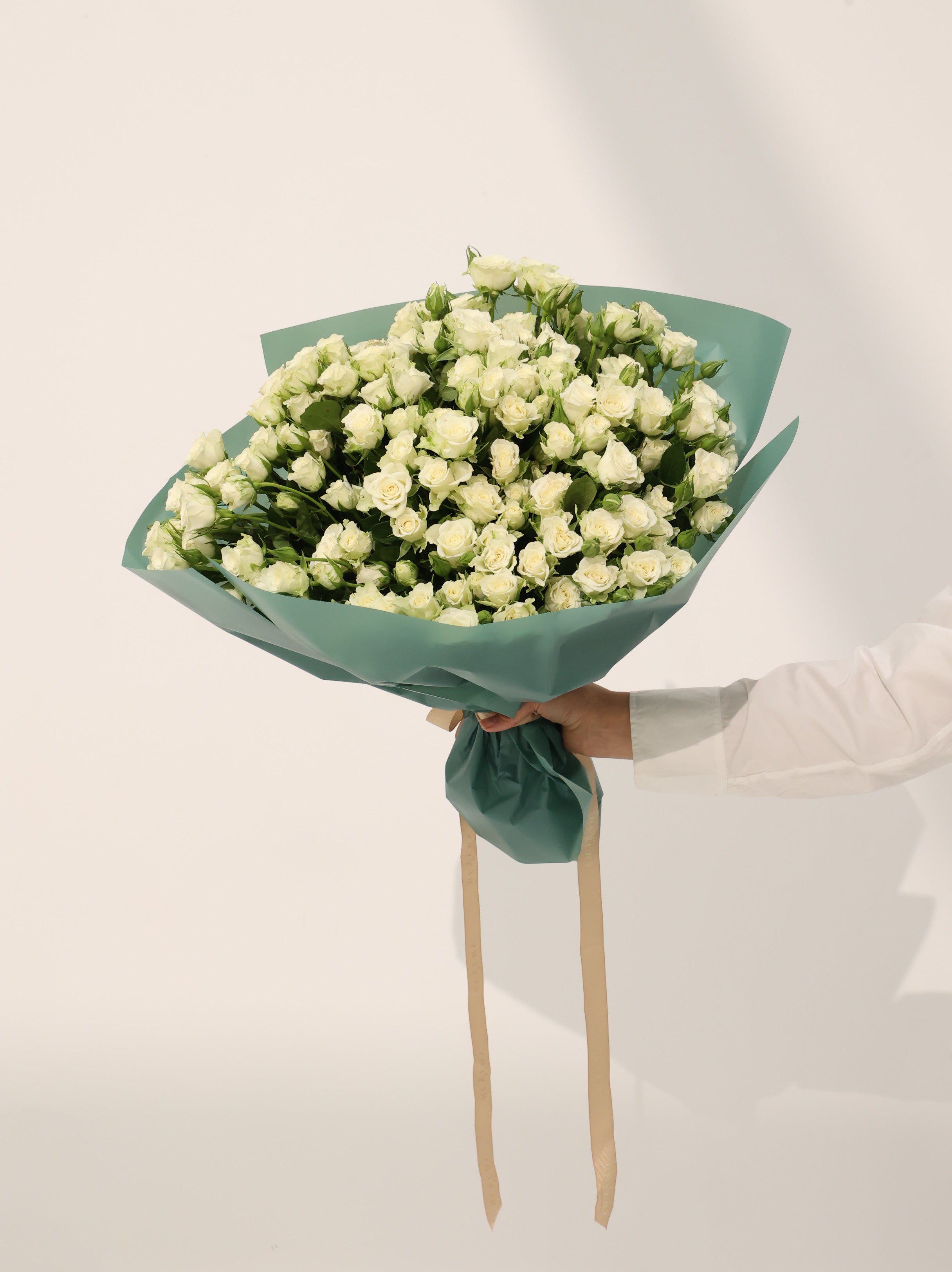 Wight Baby Roses - Revery flowers