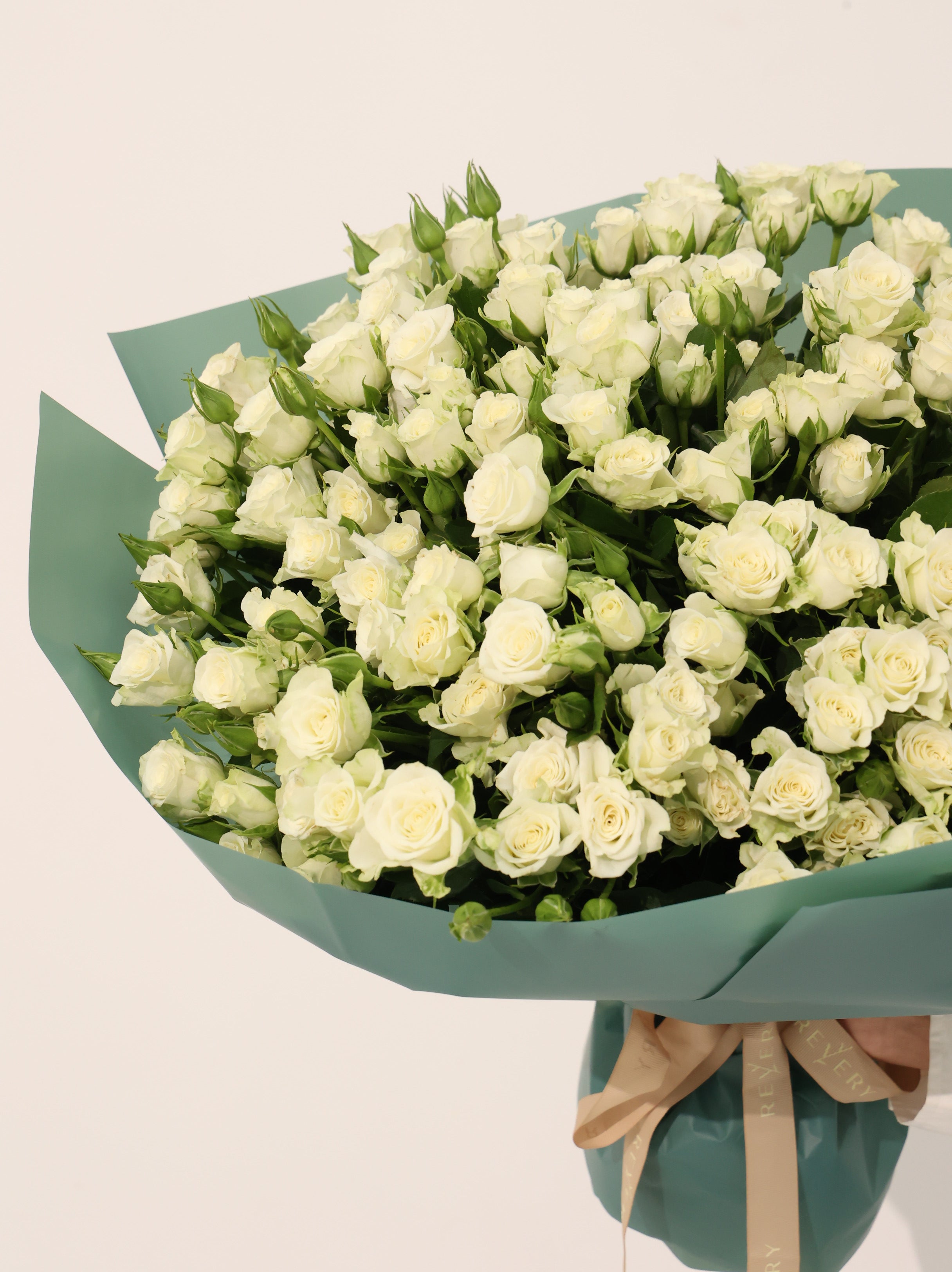 Wight Baby Roses - Revery flowers