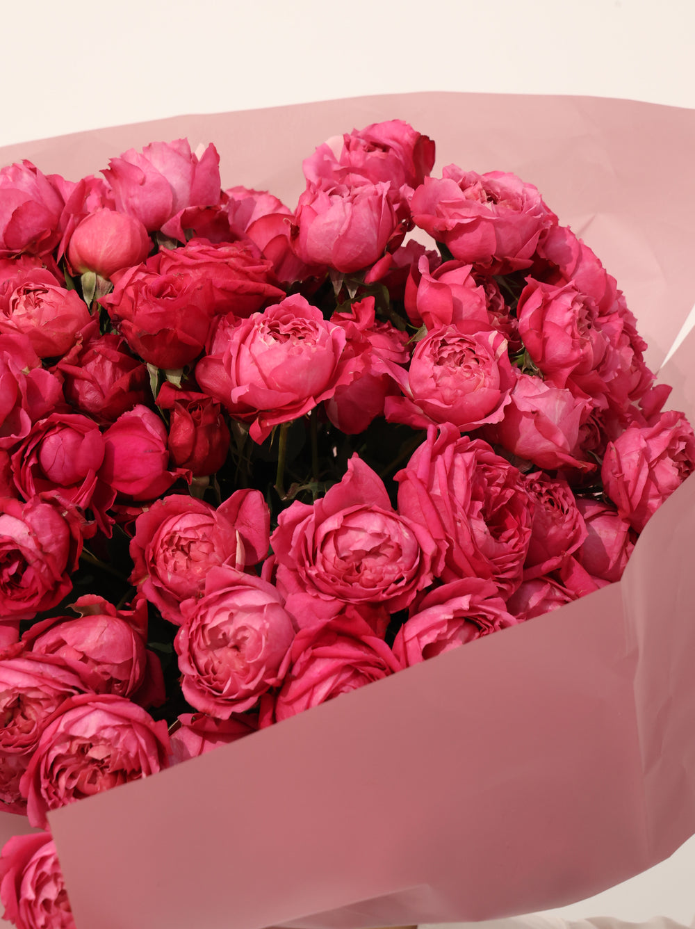 Julietta Red Spray Rose - Revery flowers