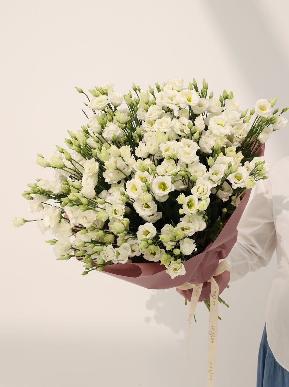 Eustoma Wight - Revery flowers