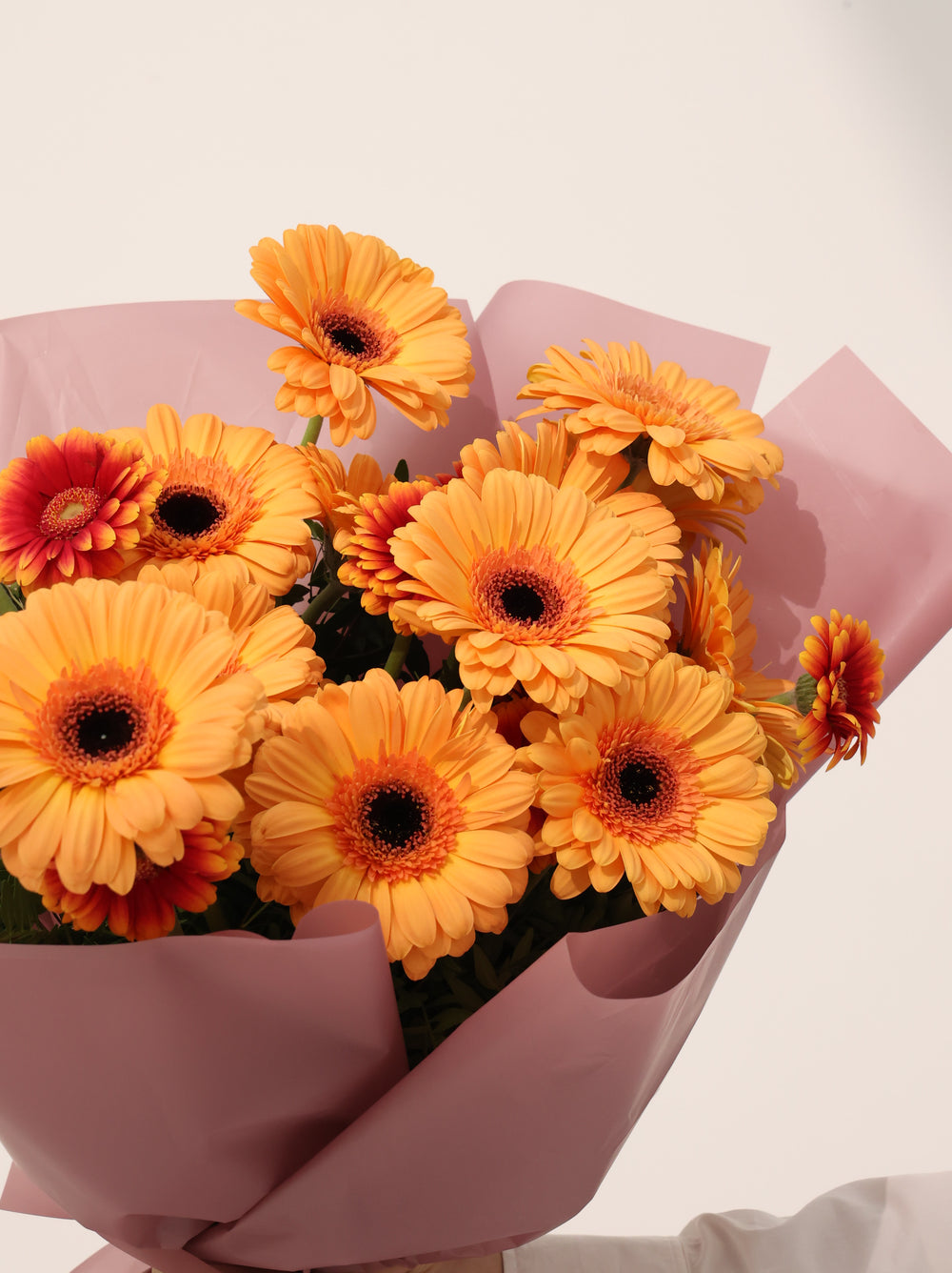Gerbera Orange - Revery flowers