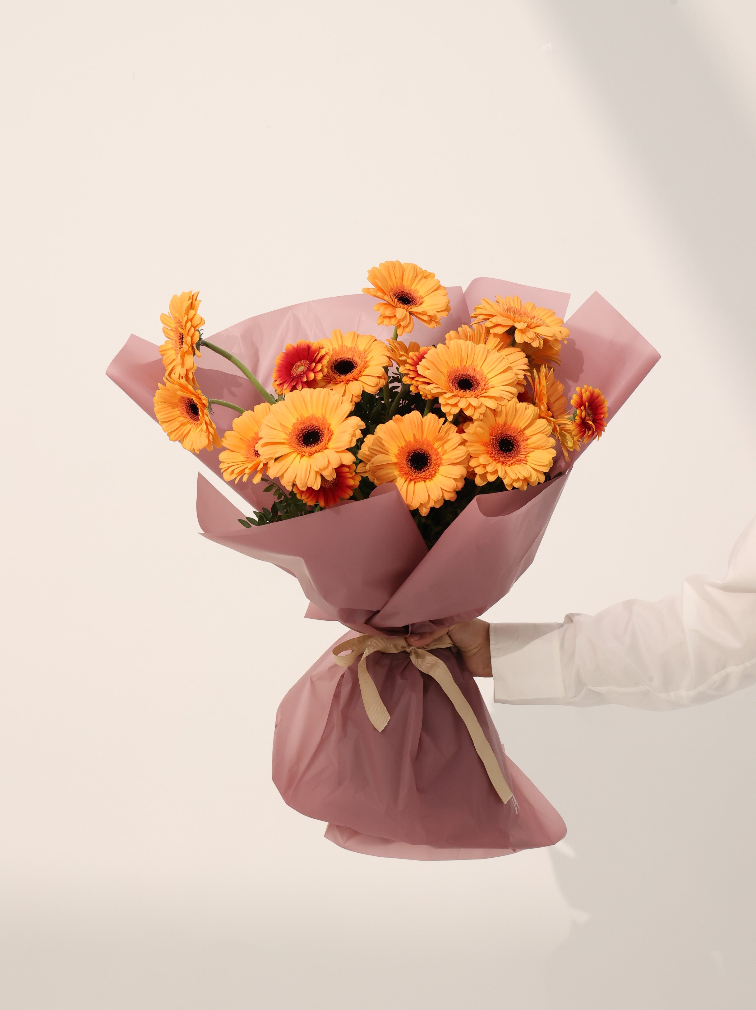 Gerbera Orange - Revery flowers