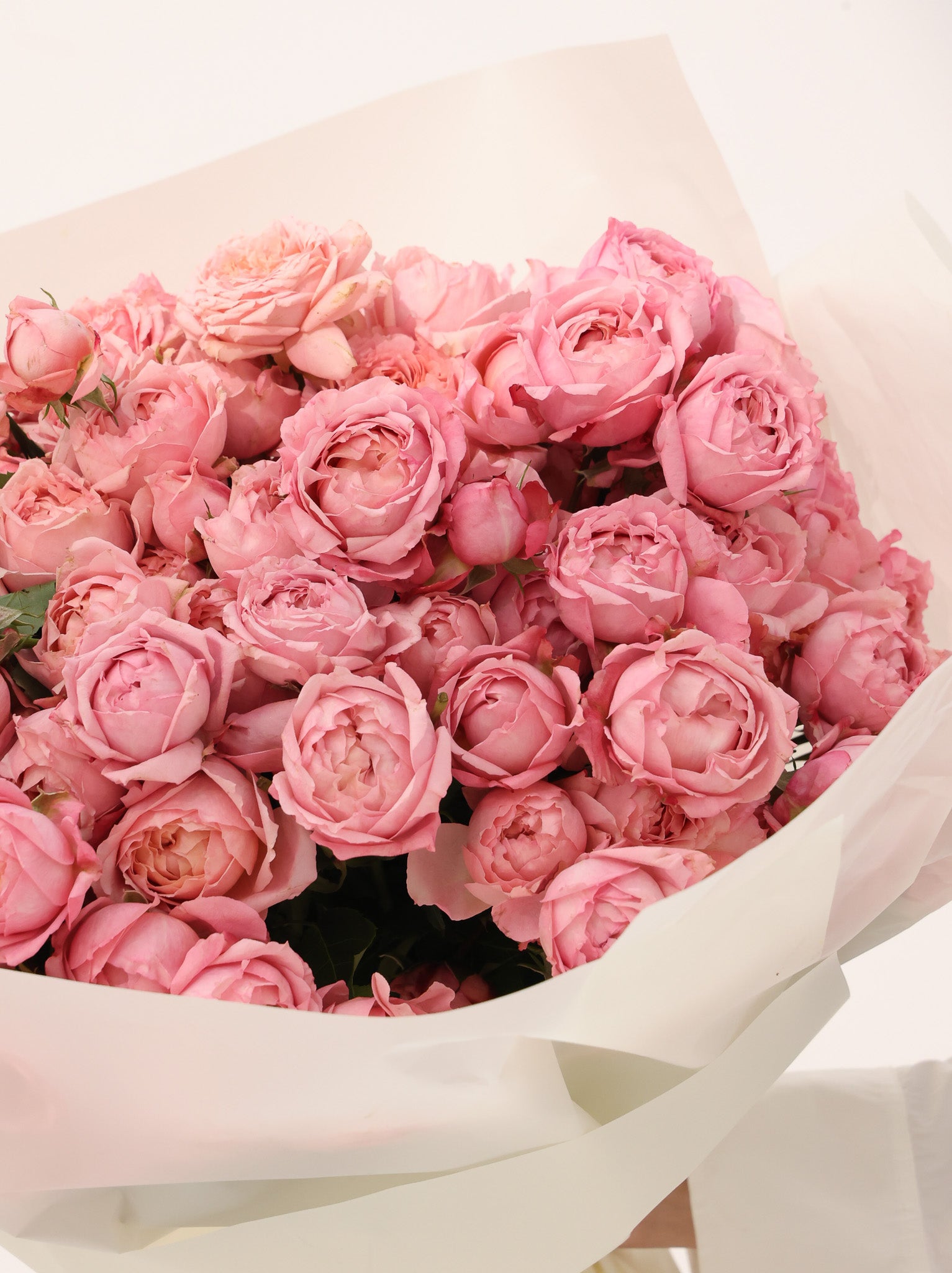 Julietta Spray Rose - Revery flowers