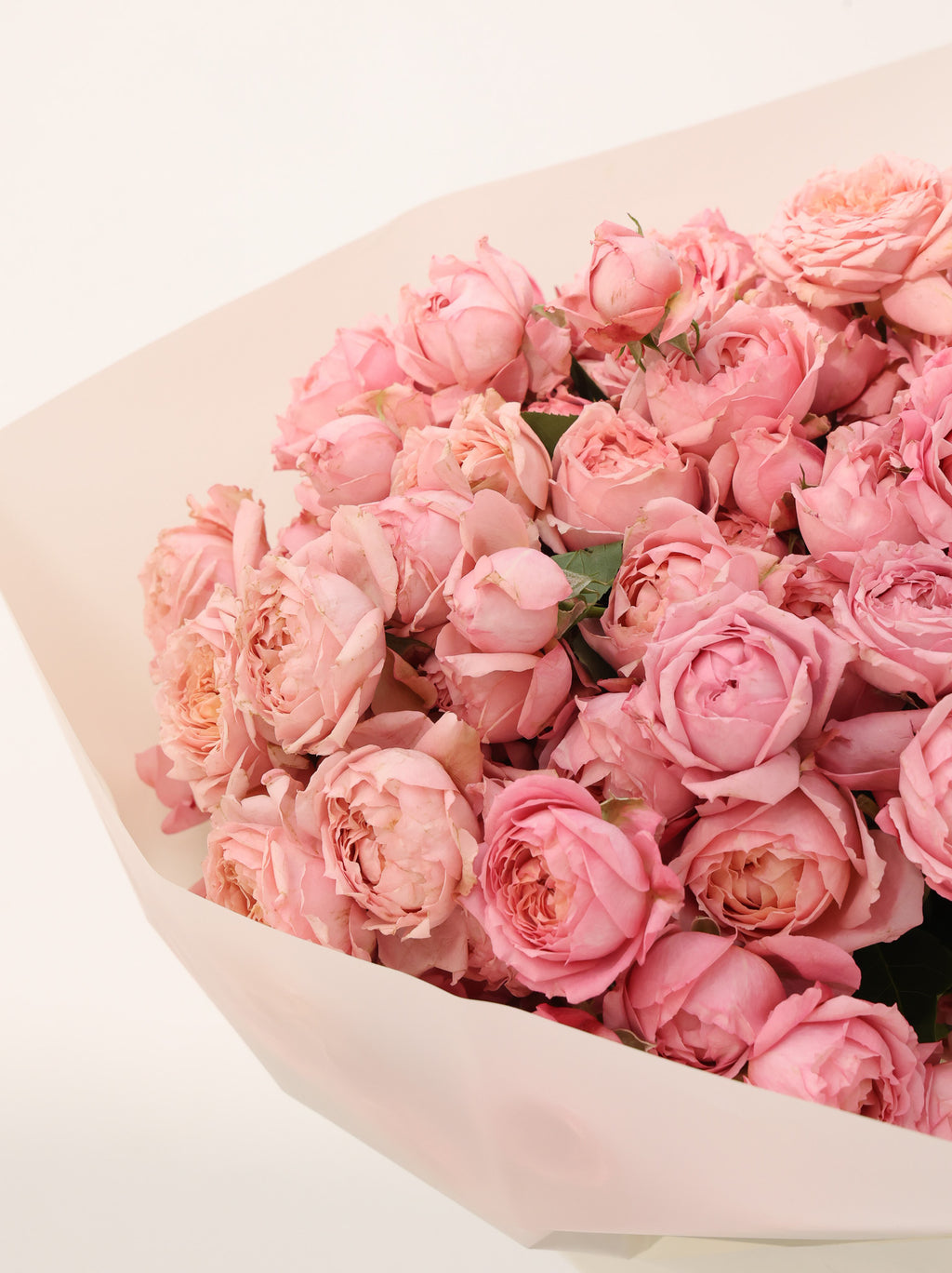 Julietta Spray Rose - Revery flowers