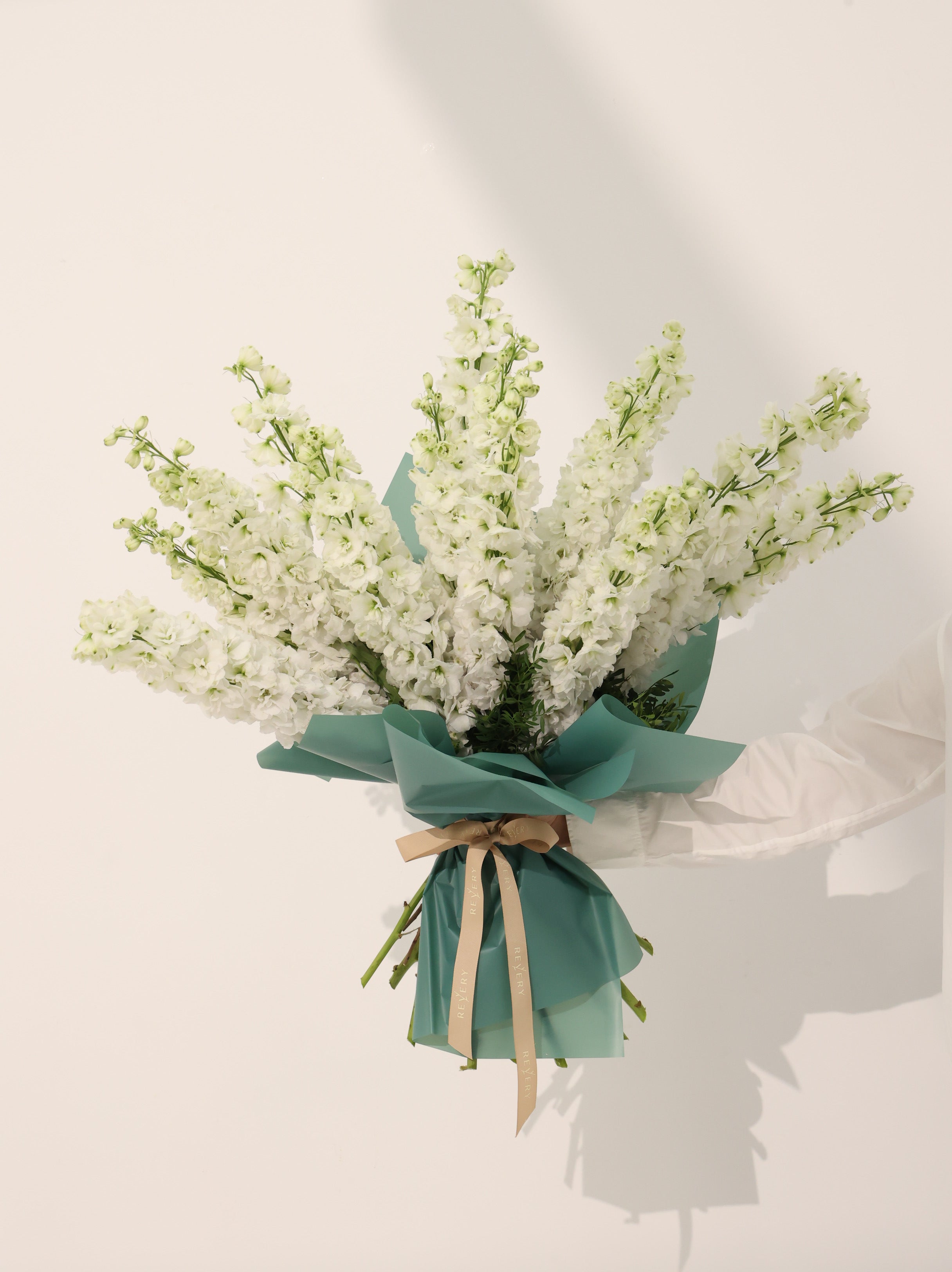 Wight Delphinium - Revery flowers