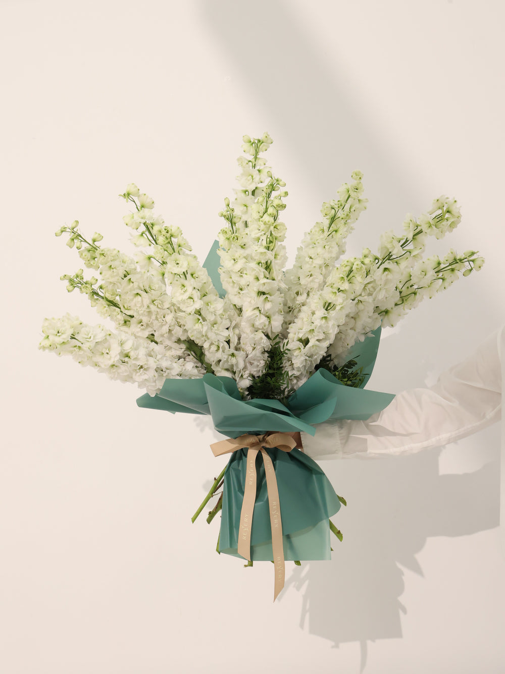Wight Delphinium - Revery flowers