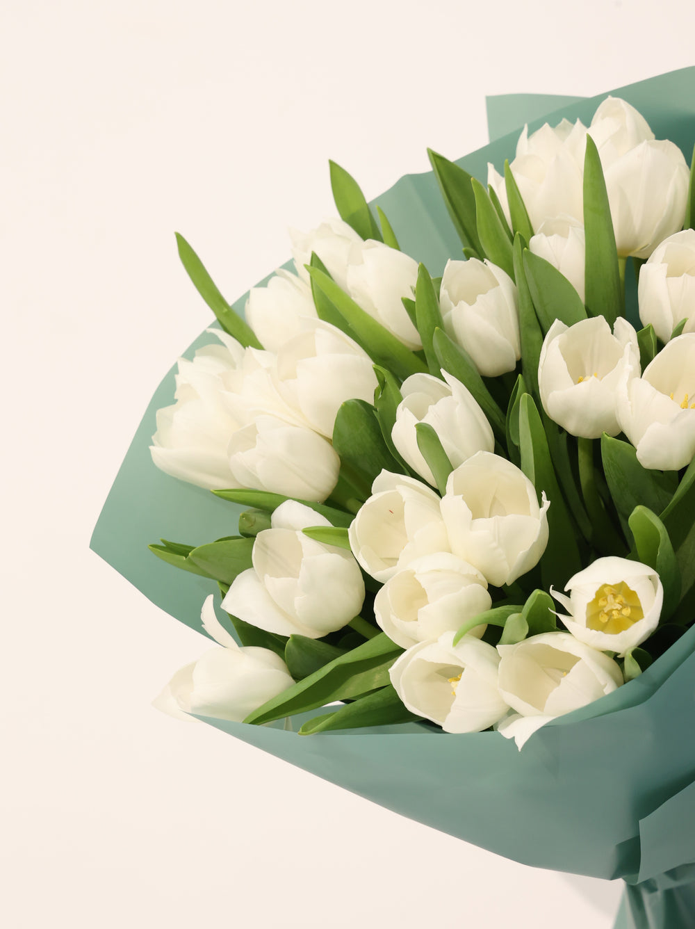 Wight Tulip - Revery flowers