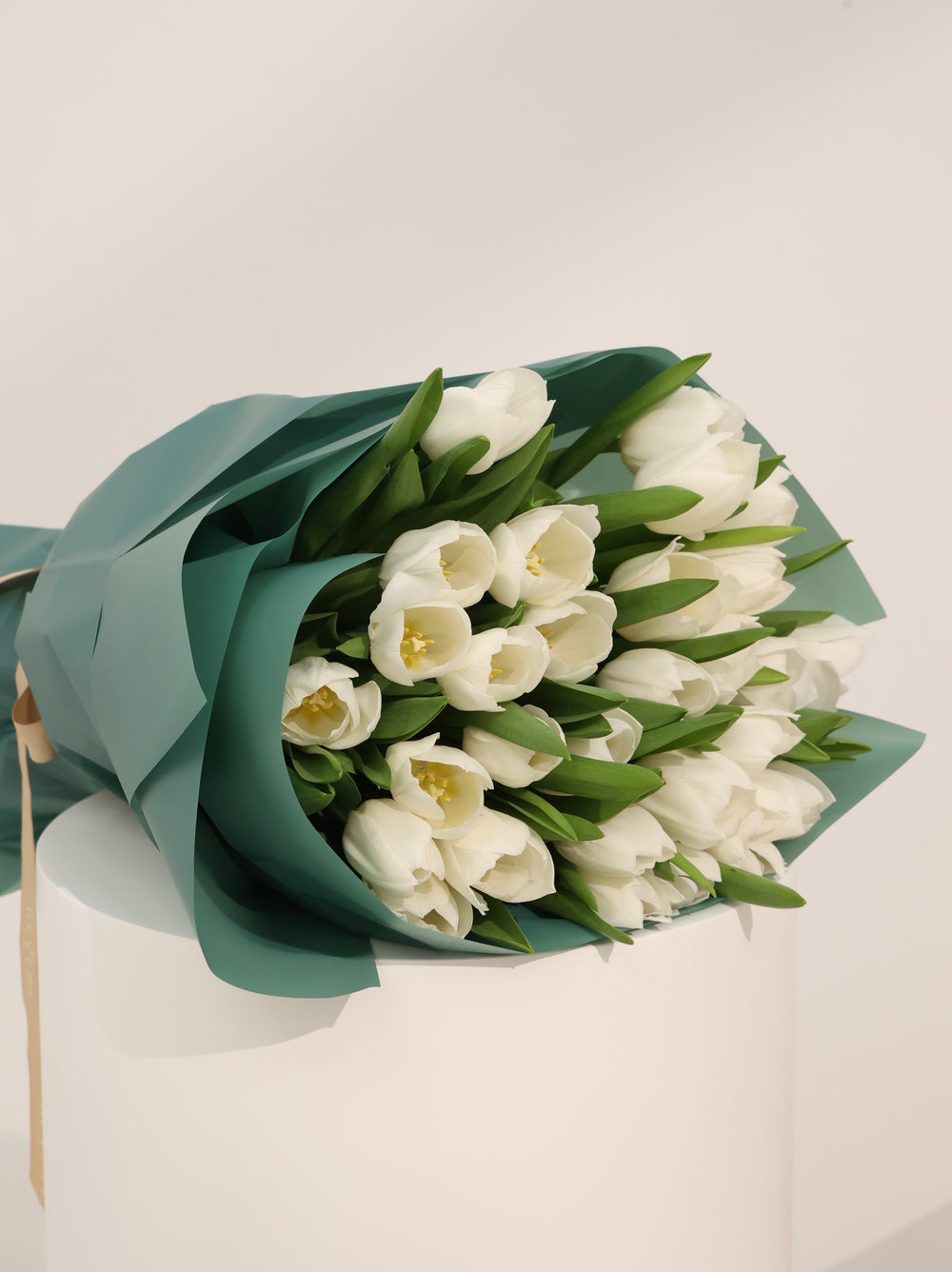 Wight Tulip - Revery flowers