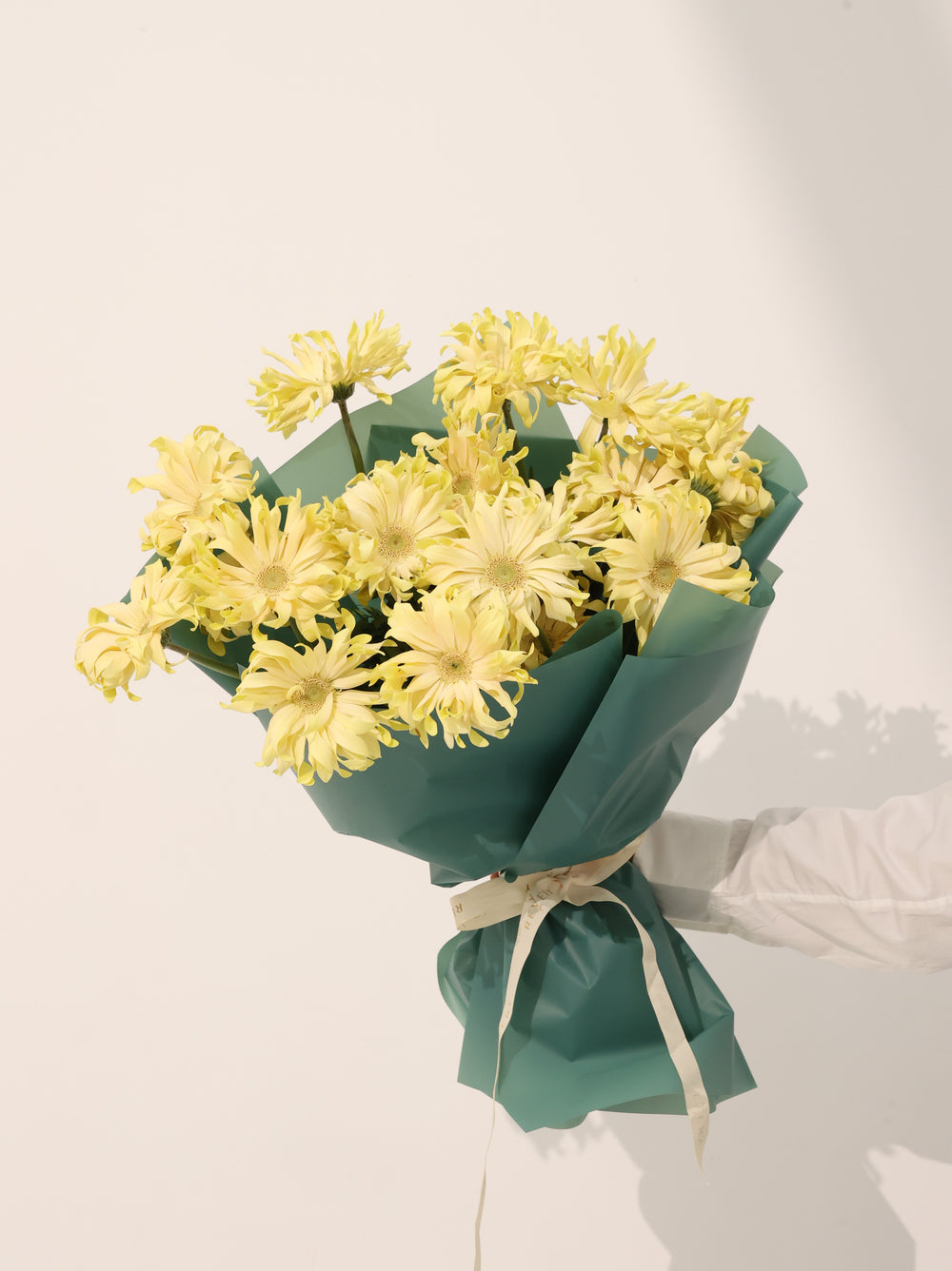 Gerbera Coborn - Revery flowers