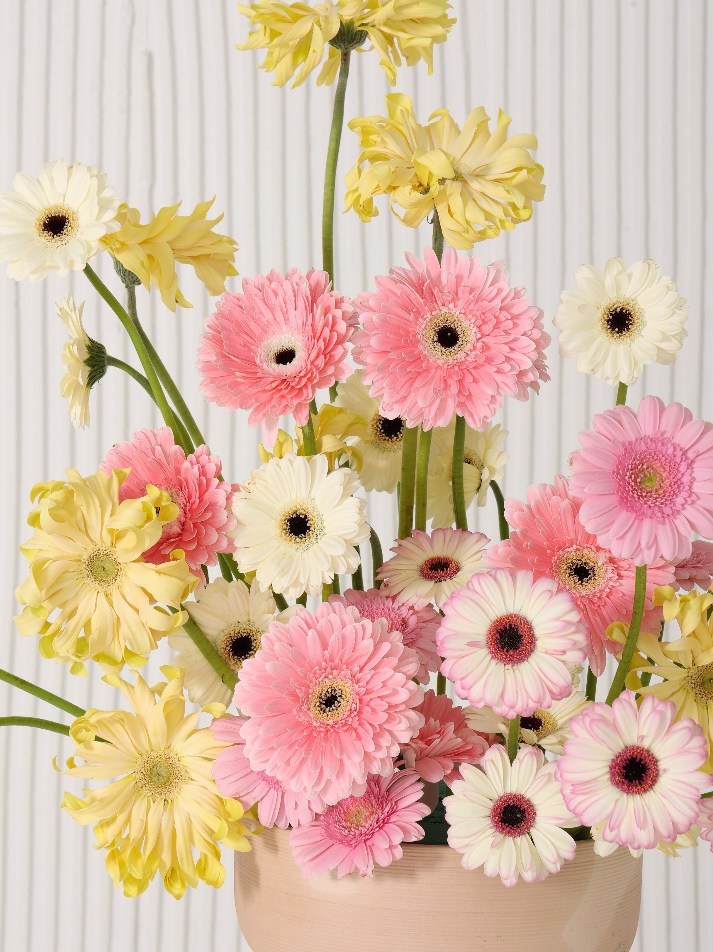 Fun sunday - Revery flowers