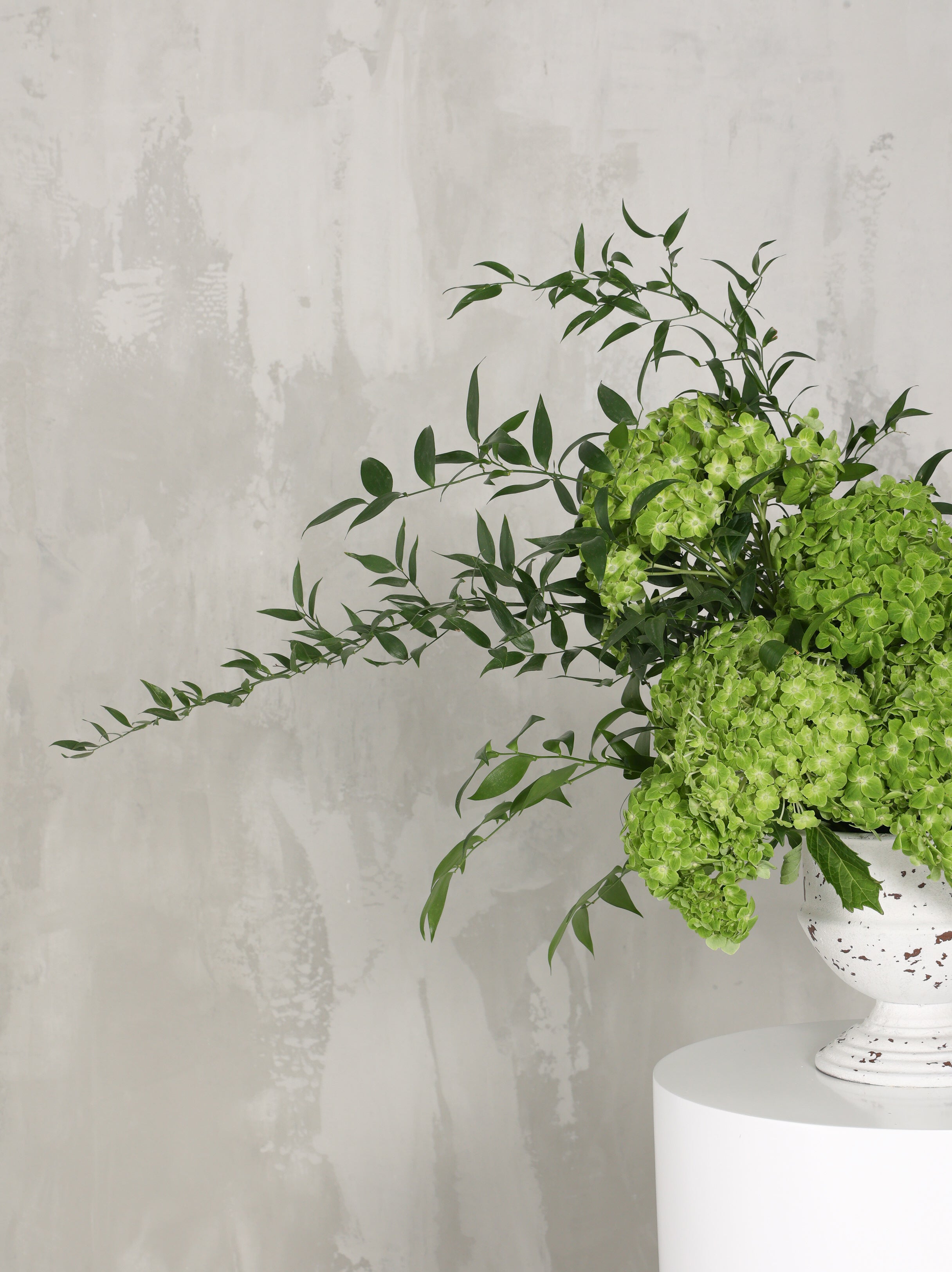 Reem - Revery flowers