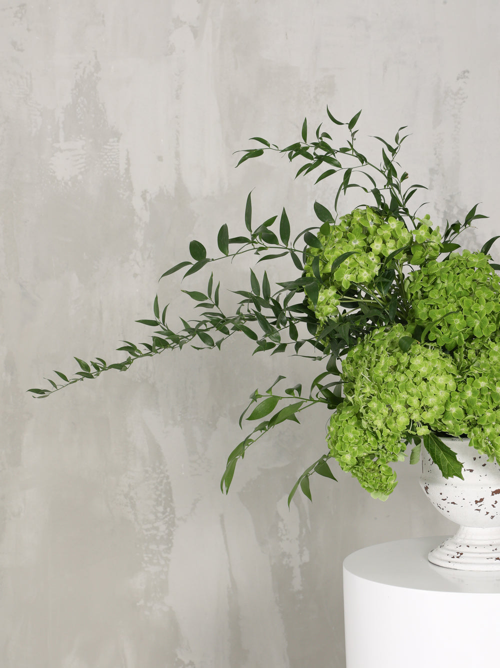 Reem - Revery flowers