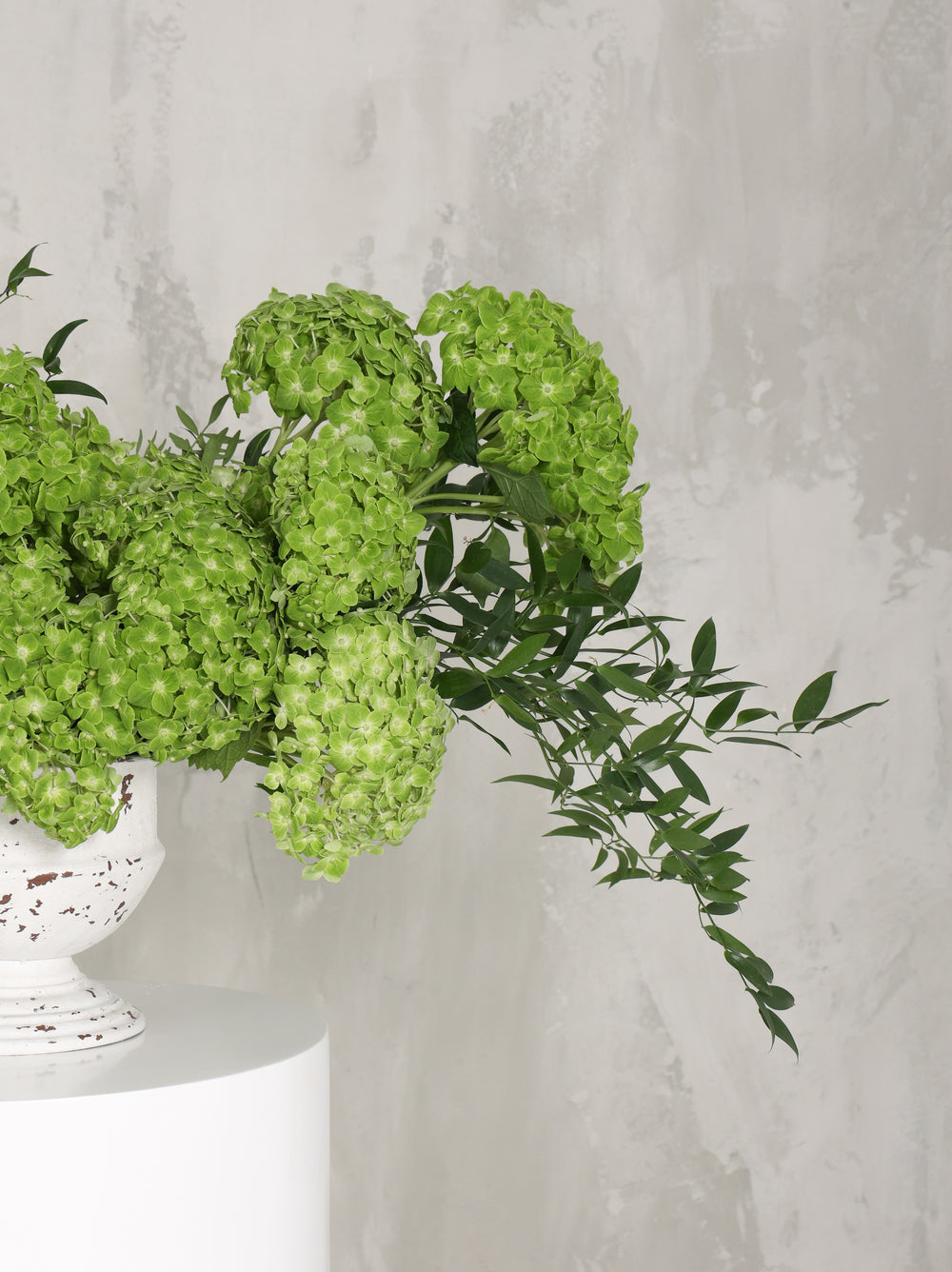 Reem - Revery flowers