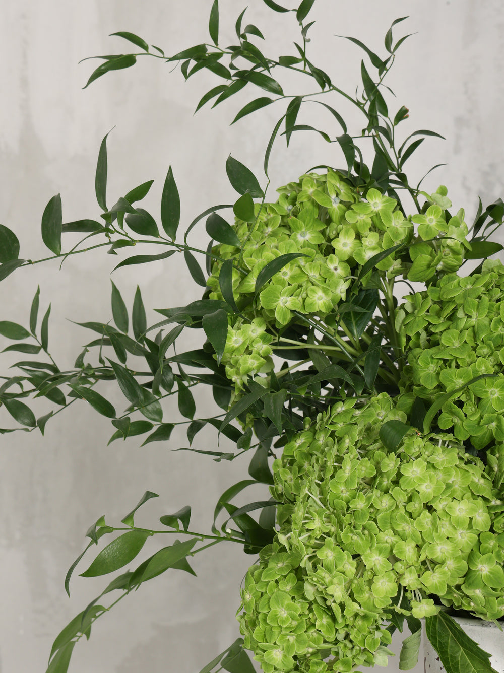 Reem - Revery flowers
