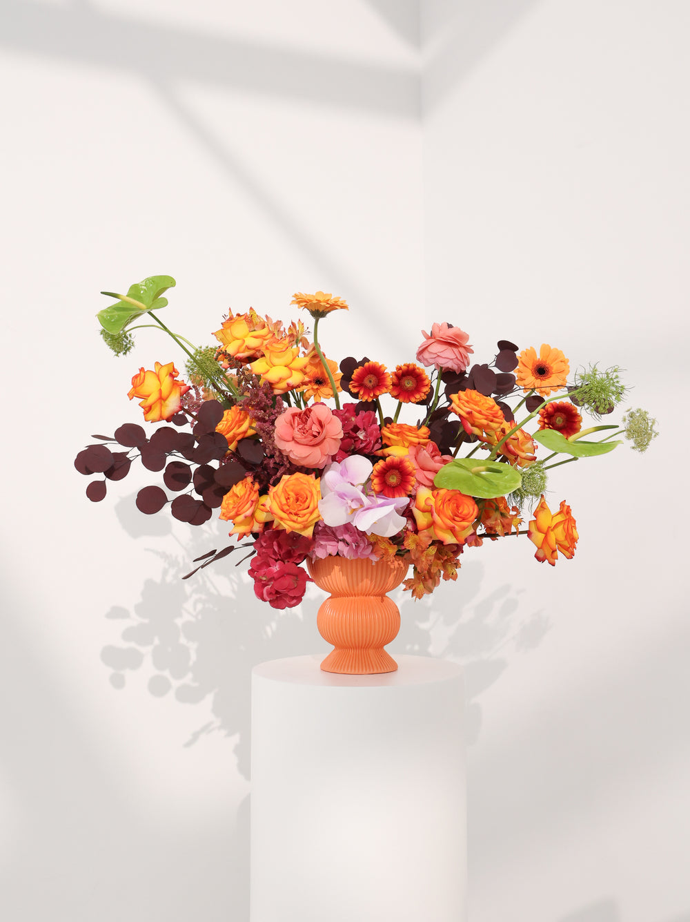 Sunshine - Revery flowers
